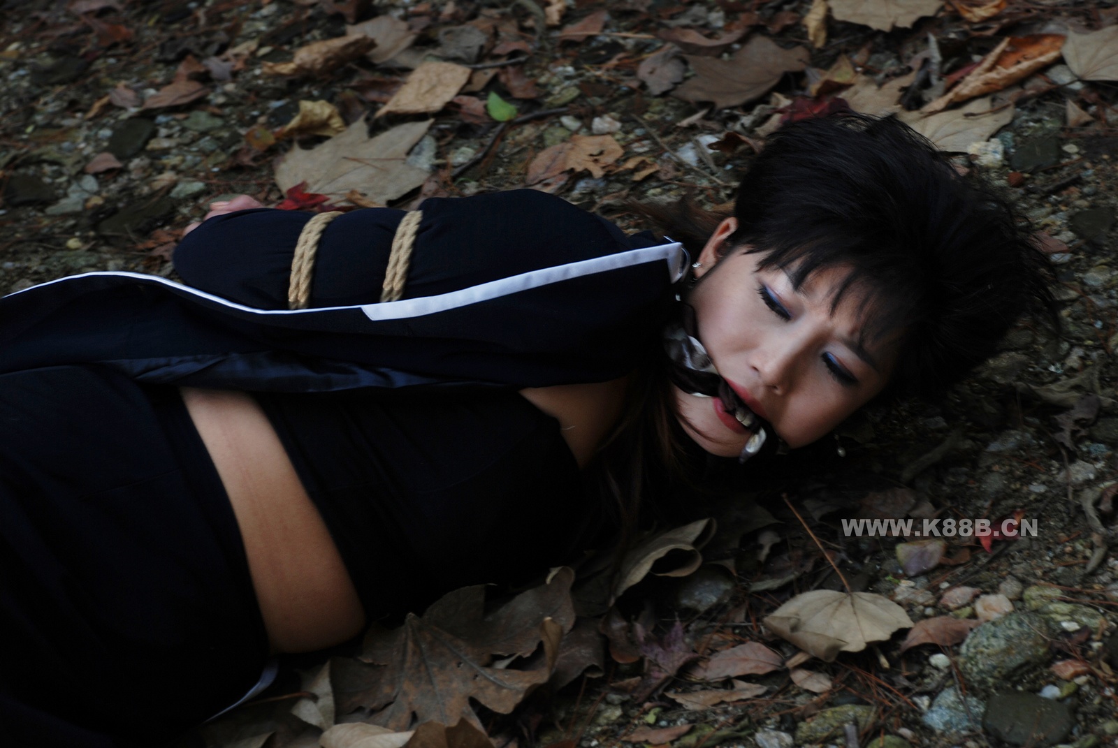 Chinese Rope Model 419