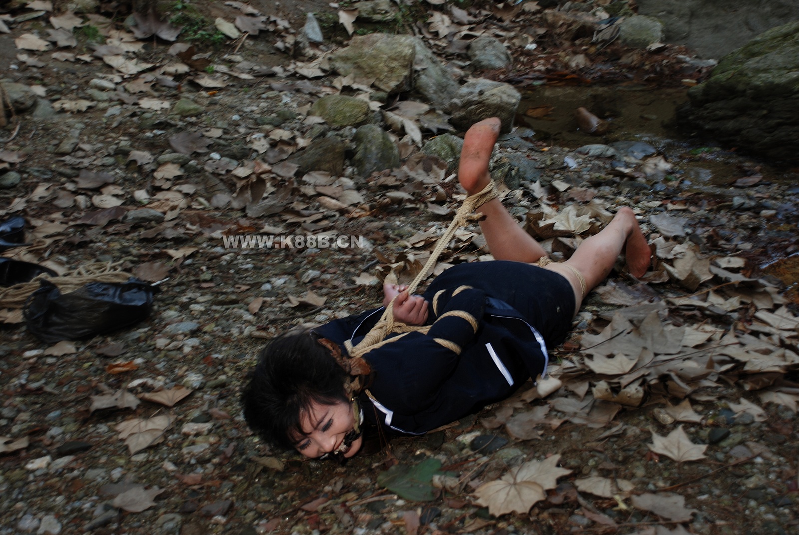 Chinese Rope Model 419