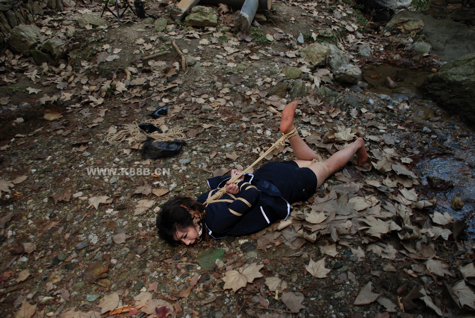 Chinese Rope Model 419