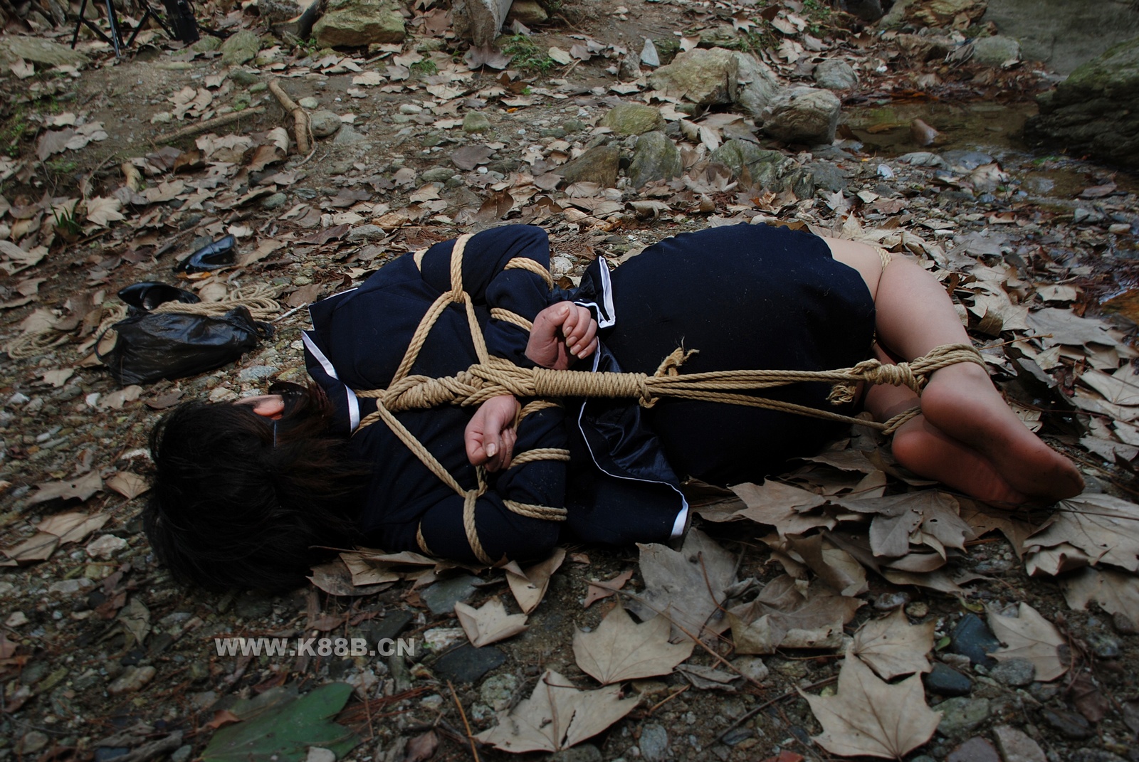 Chinese Rope Model 419