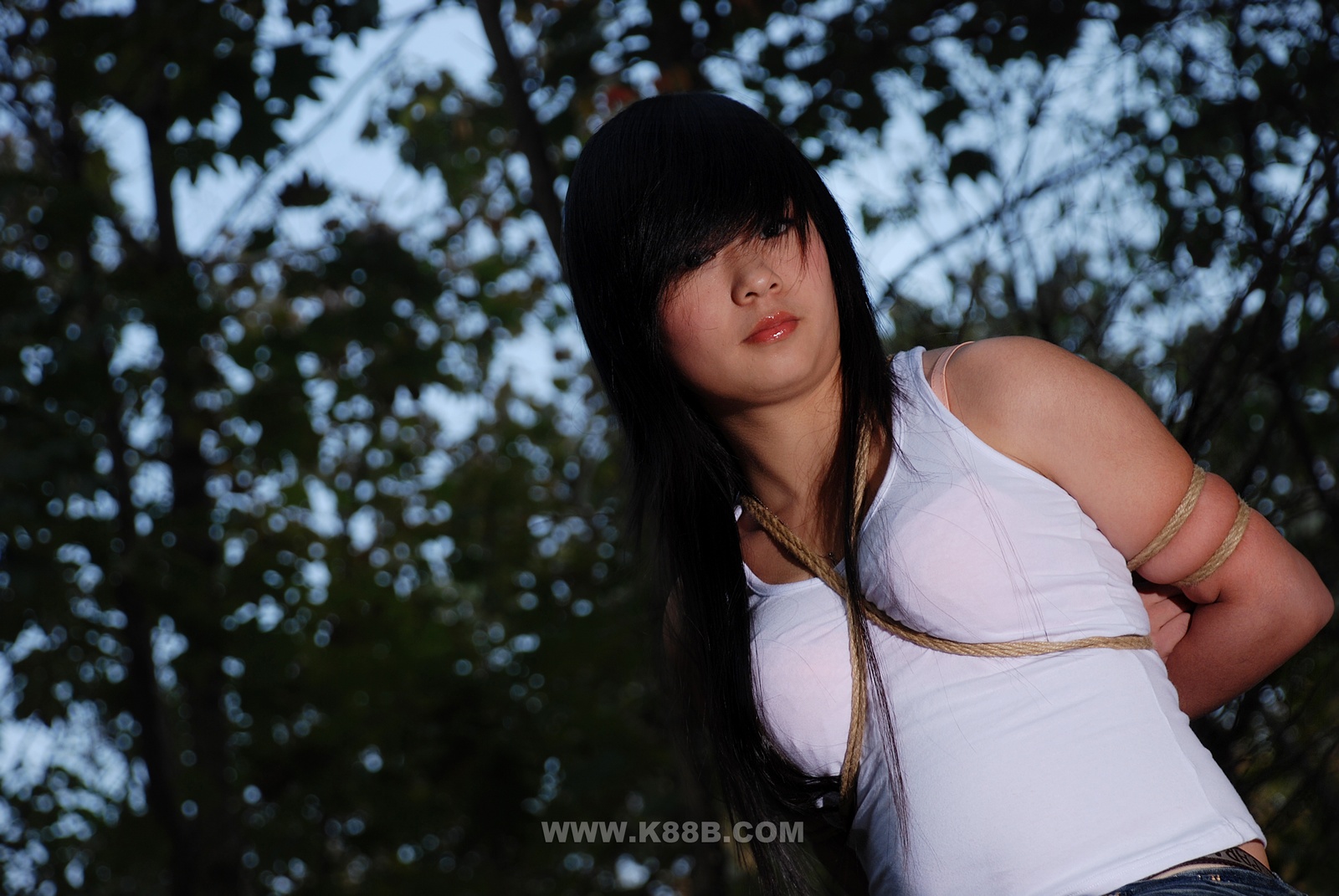 Chinese Rope Model 422