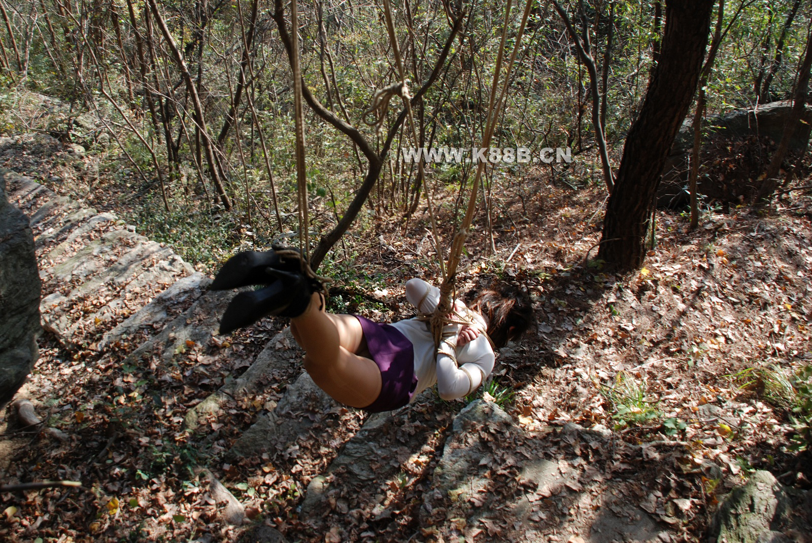 Chinese Rope Model 425