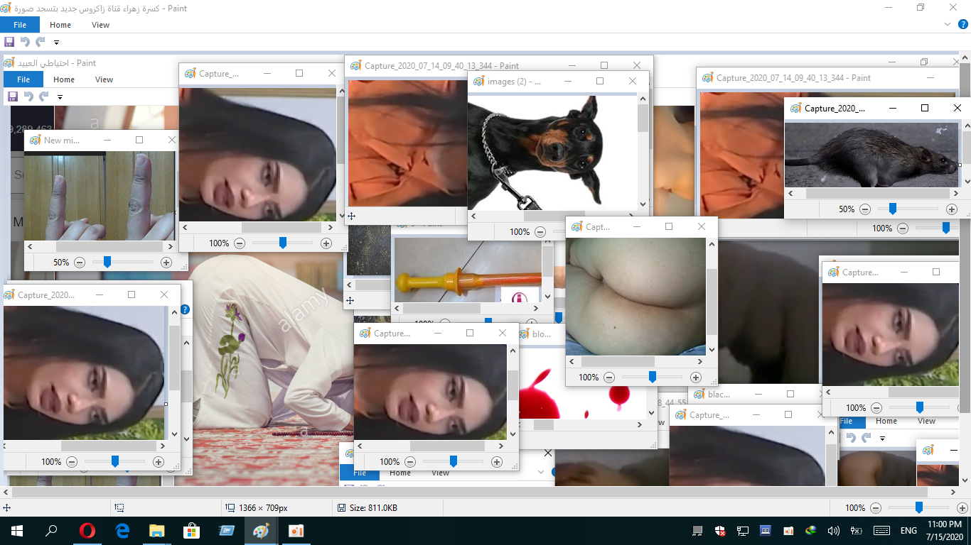 Bitches love the dick inside