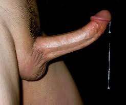 Beautiful cocks sucked and delicious cumshots