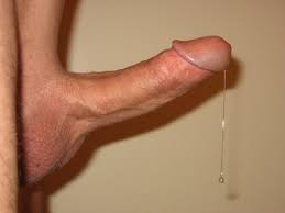 Pre cum licking  and delicious stinking smegma cocks