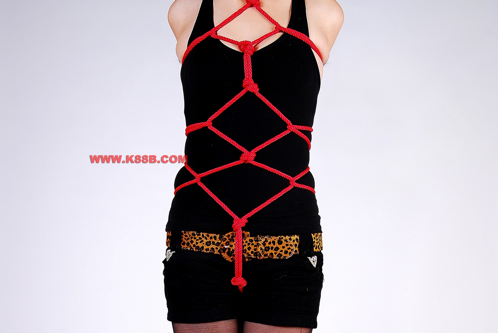 Chinese Rope Model 431