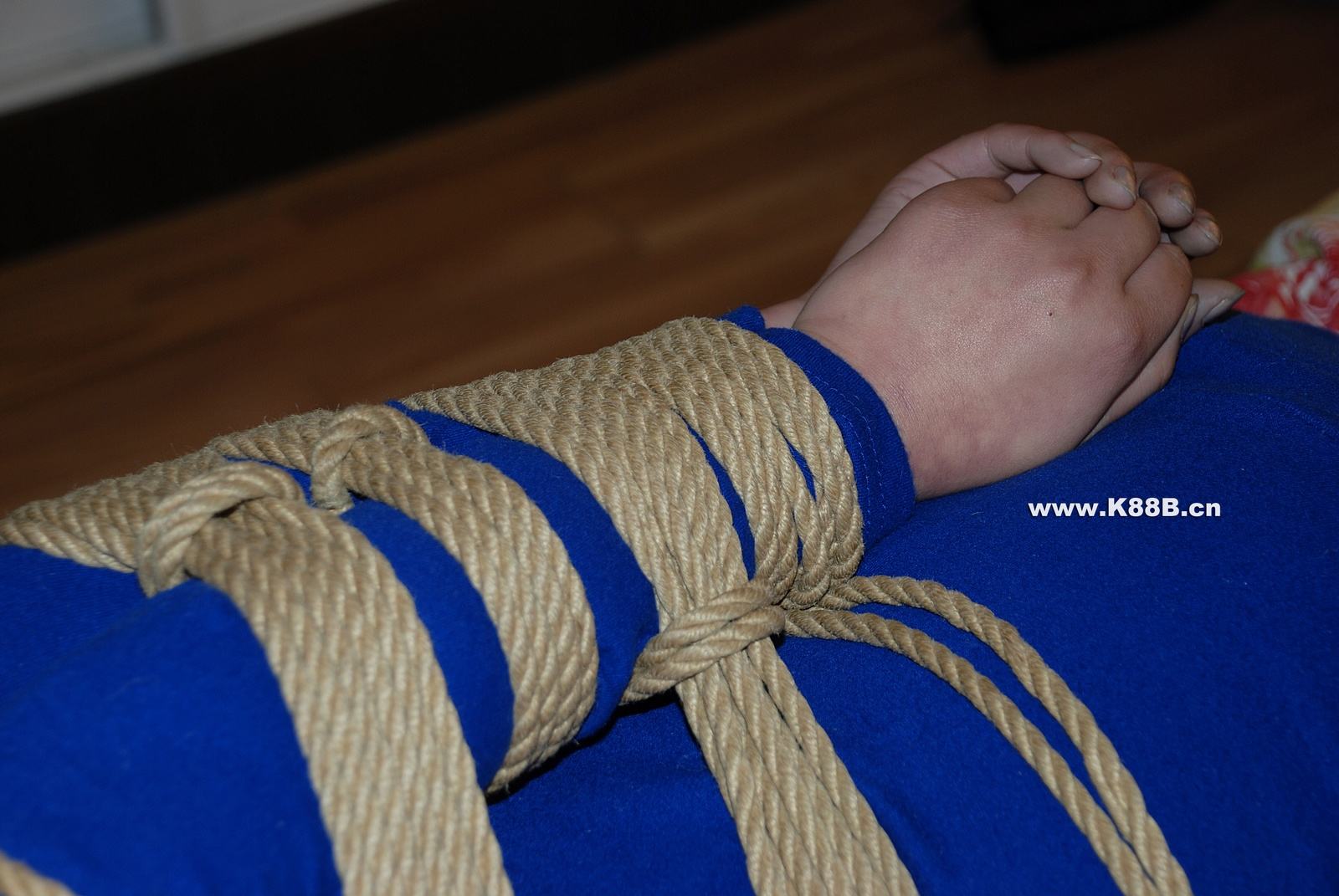 Chinese Rope Model 442