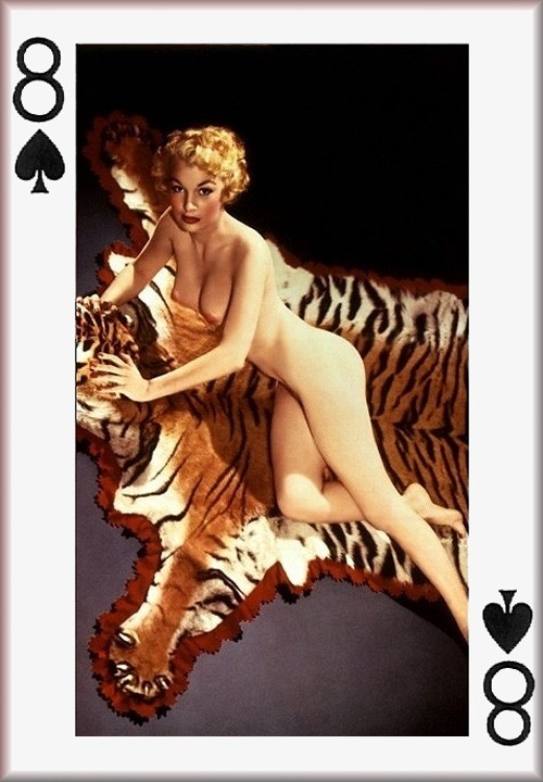 Playing Cards 2