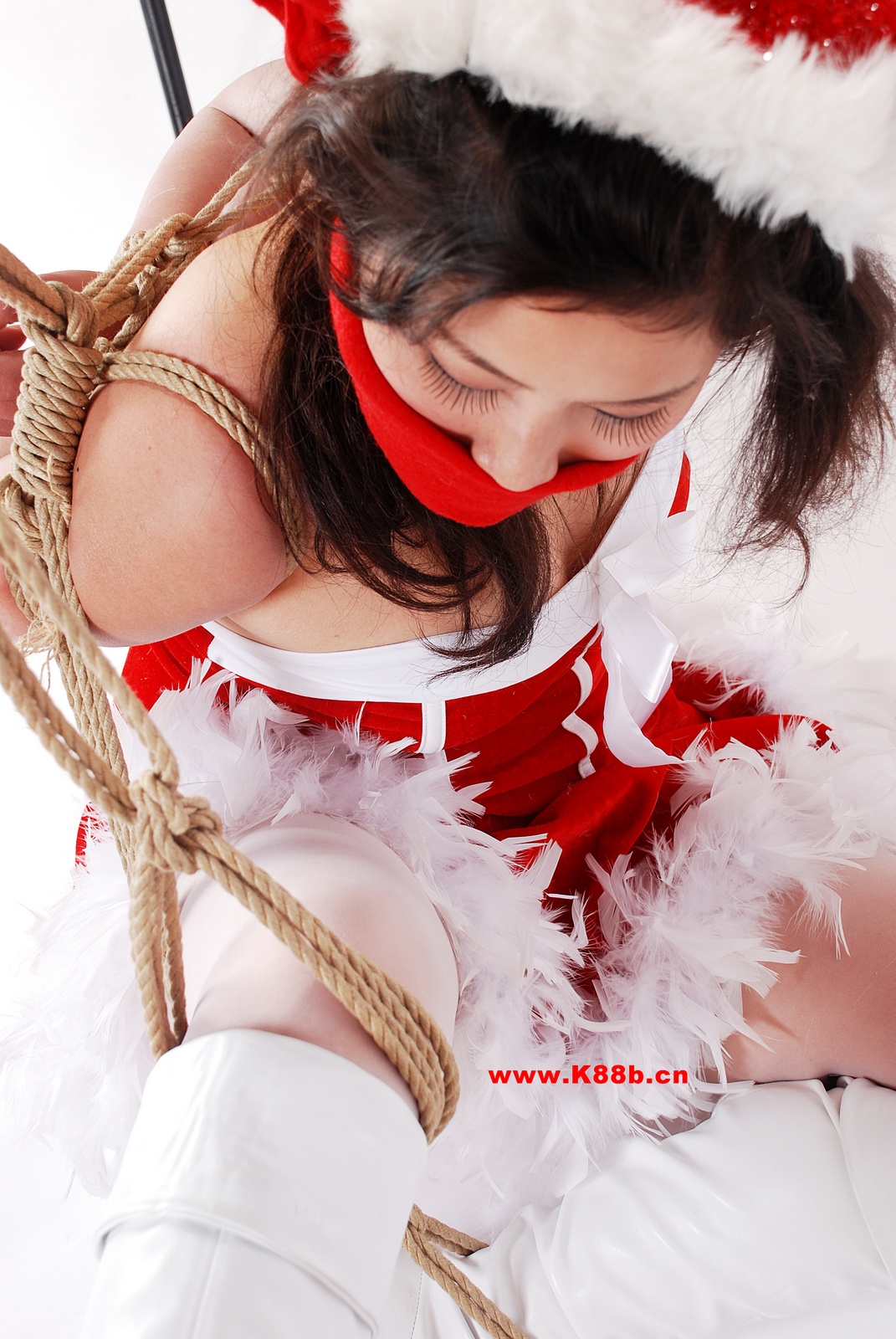 Chinese Rope Model 453-2