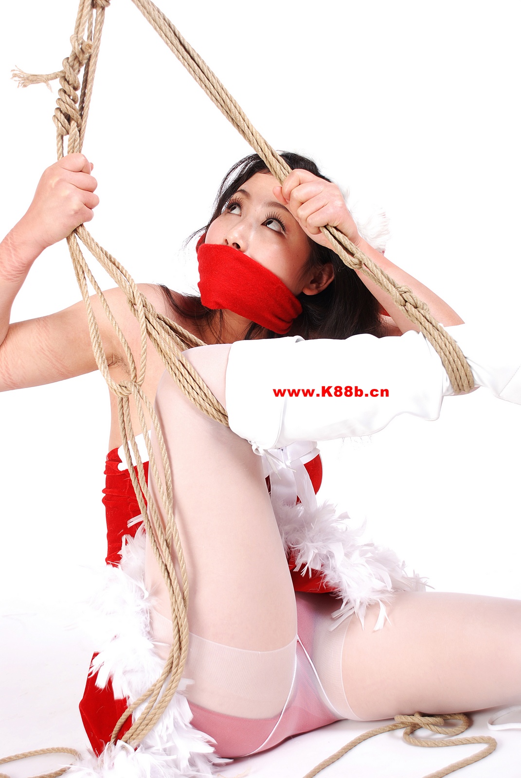 Chinese Rope Model 453-2