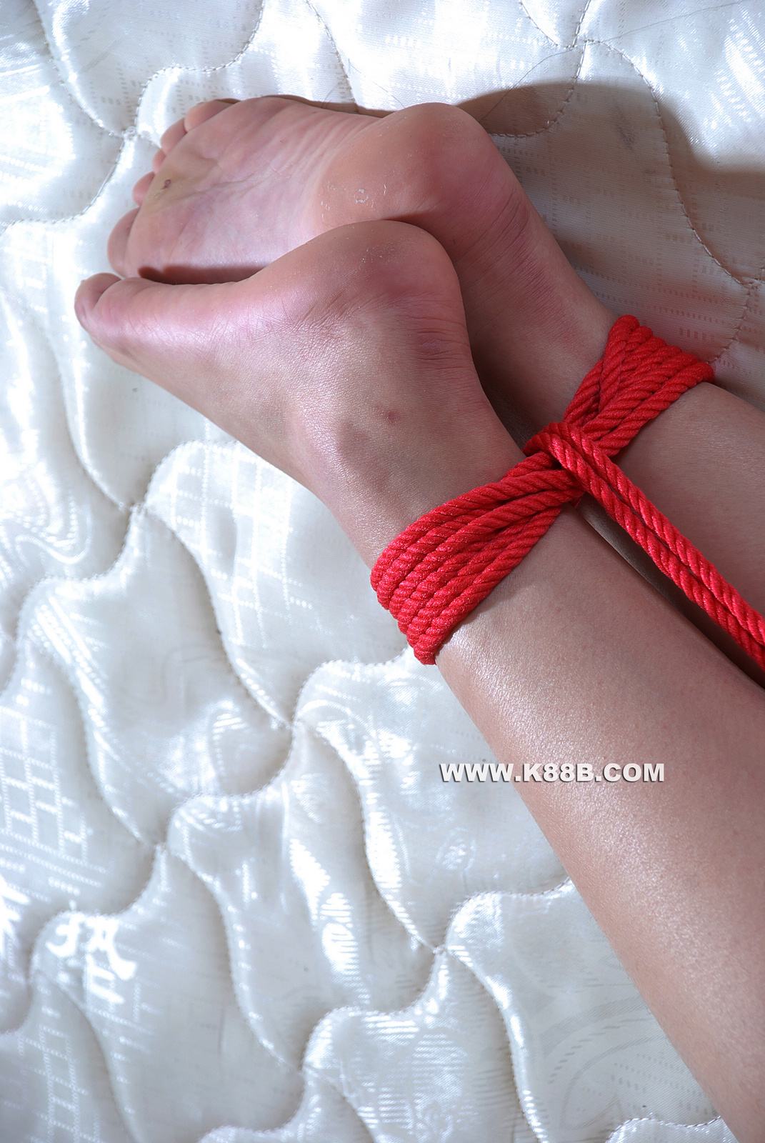 Chinese Rope Model 459-2