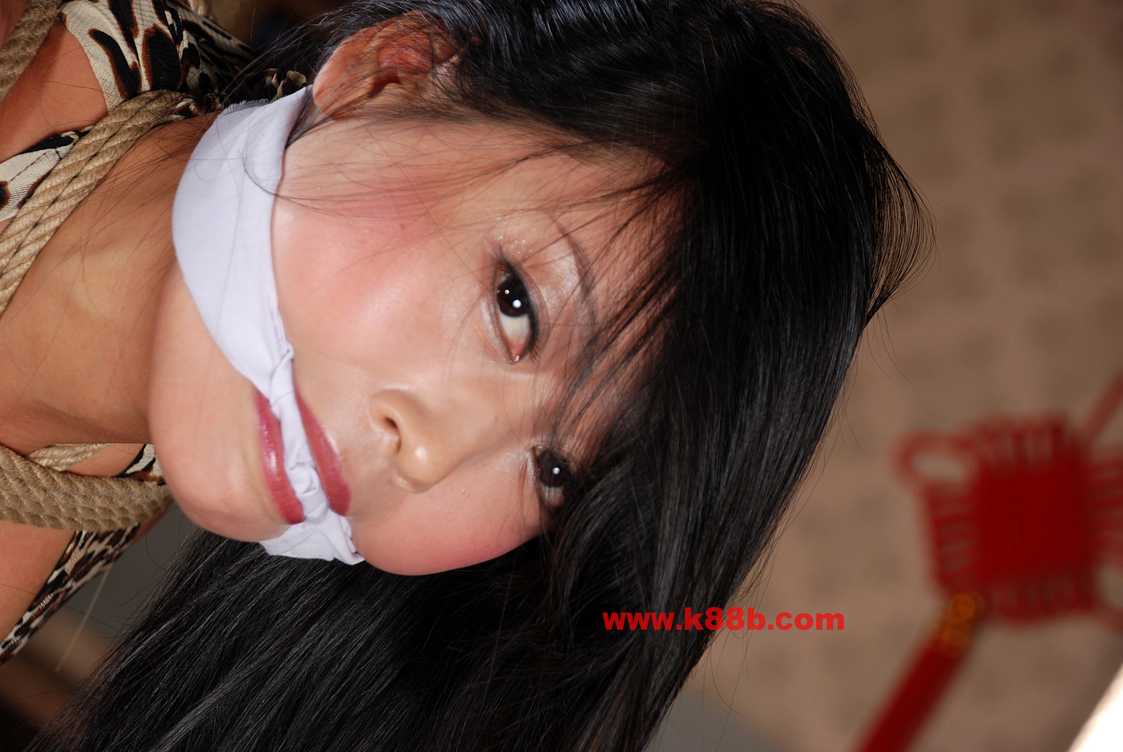 Chinese Rope Model 480