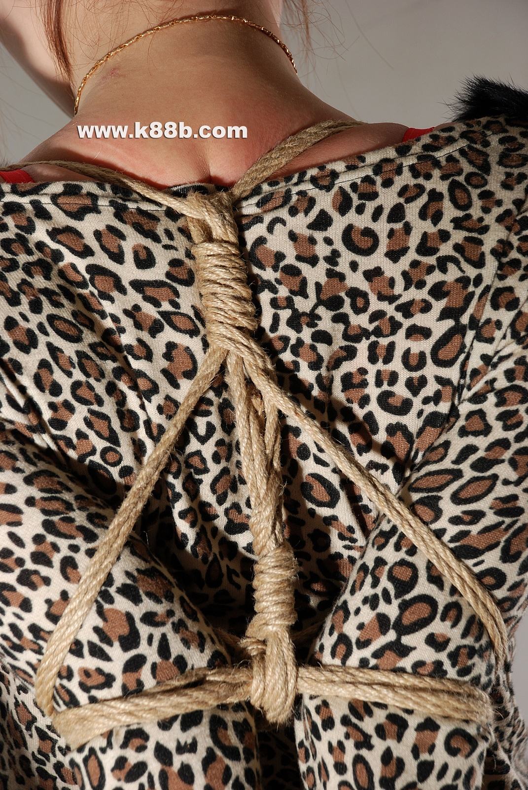 Chinese Rope Model 482-2