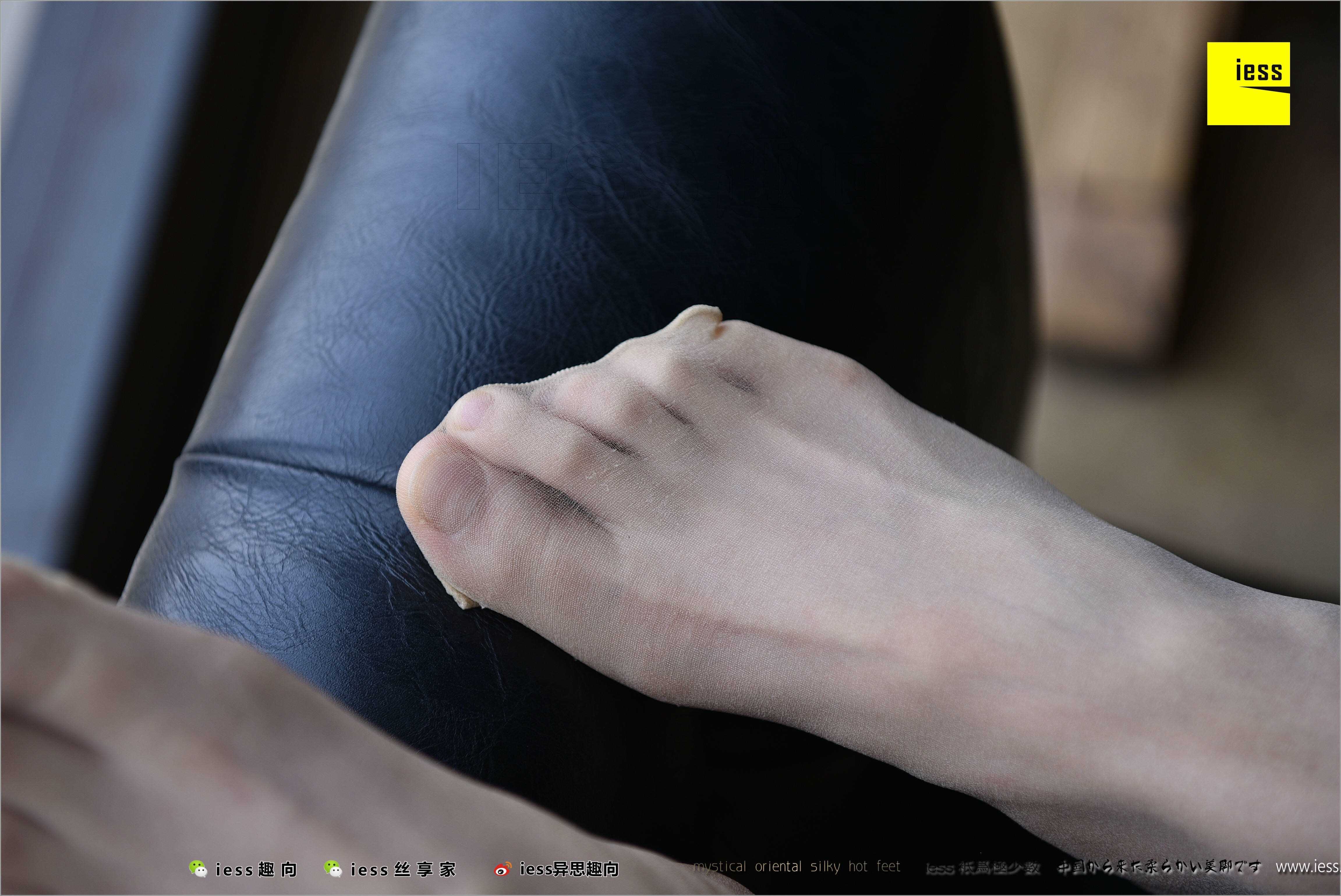 China Beauty Legs and feet 494