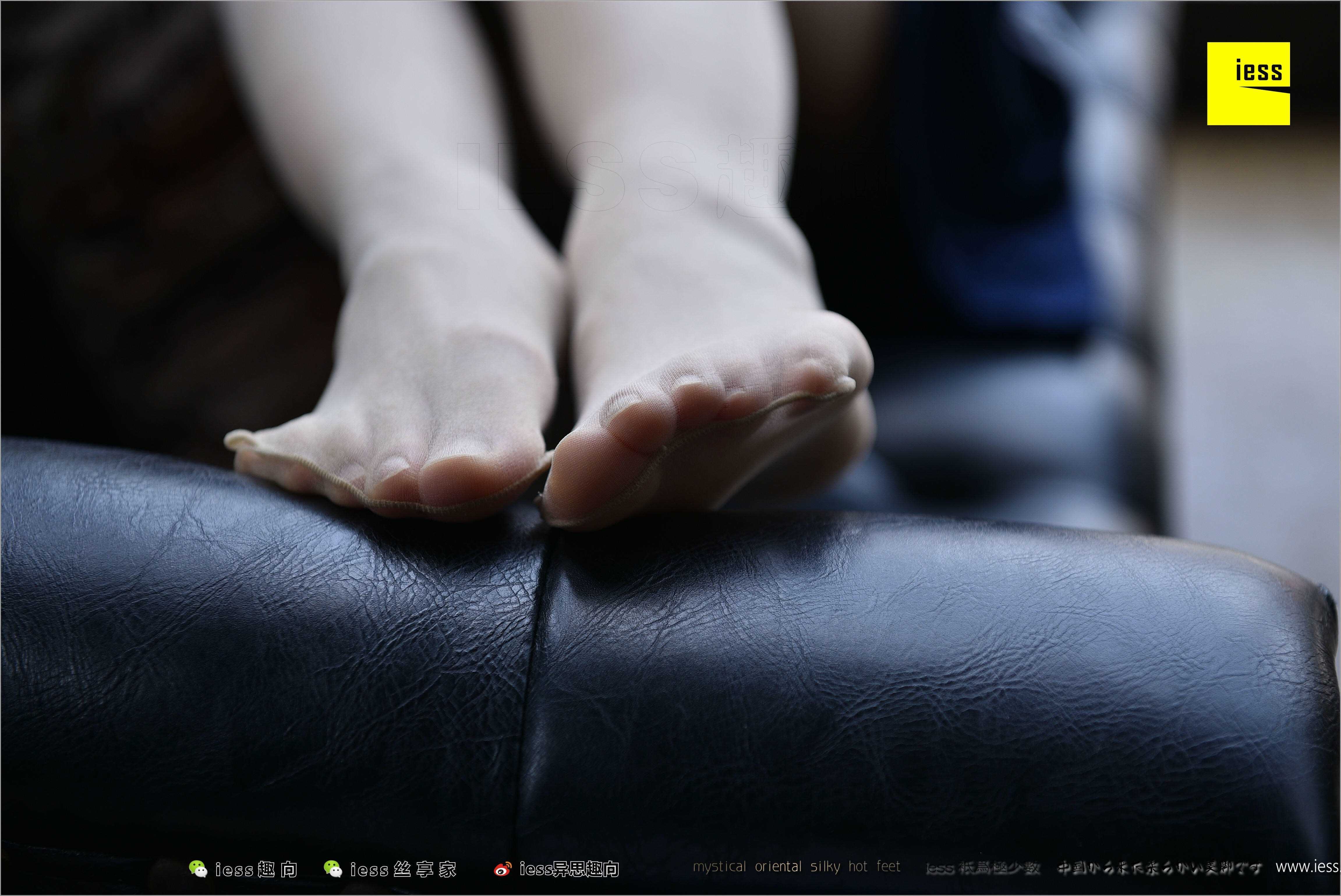 China Beauty Legs and feet 494