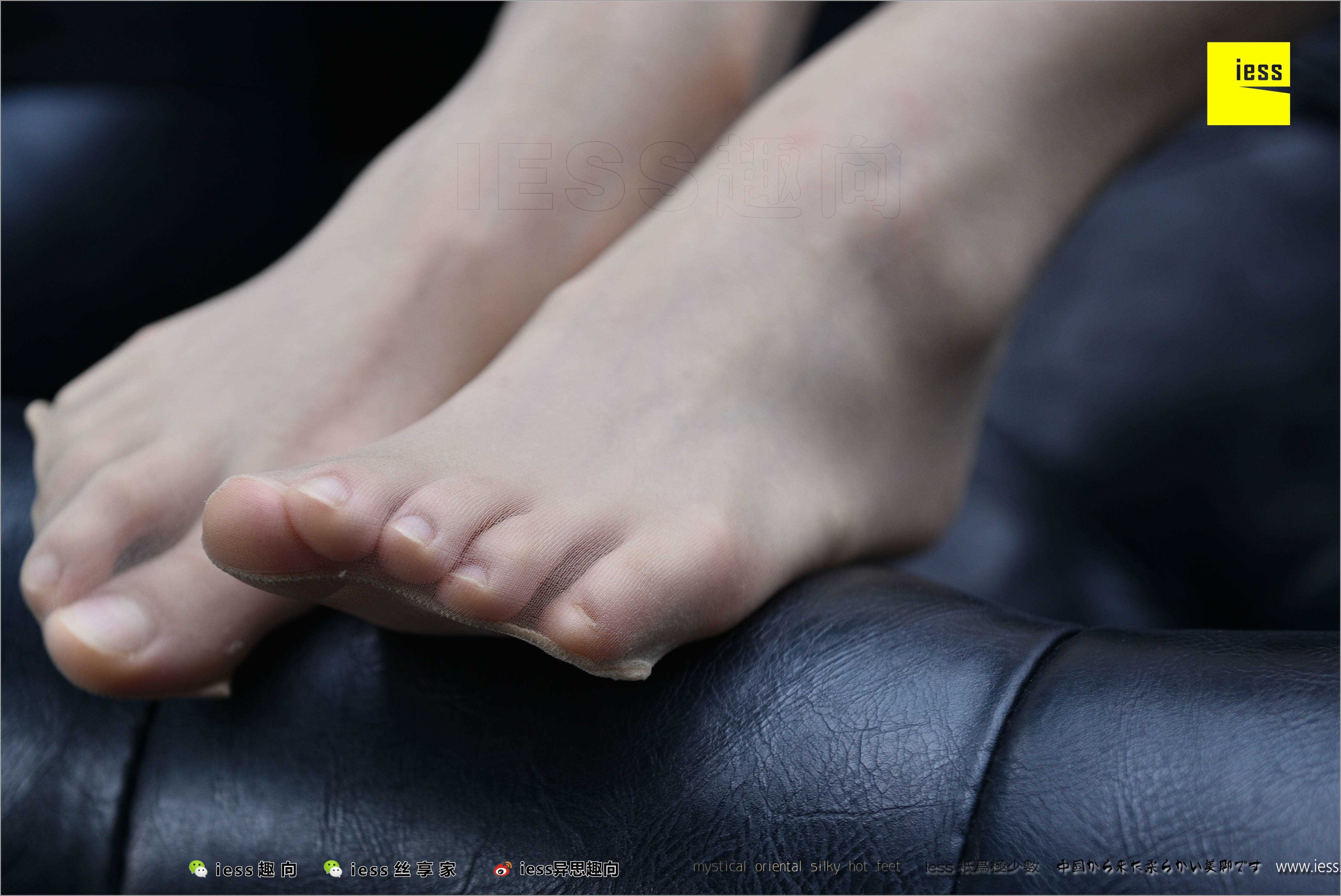 China Beauty Legs and feet 494