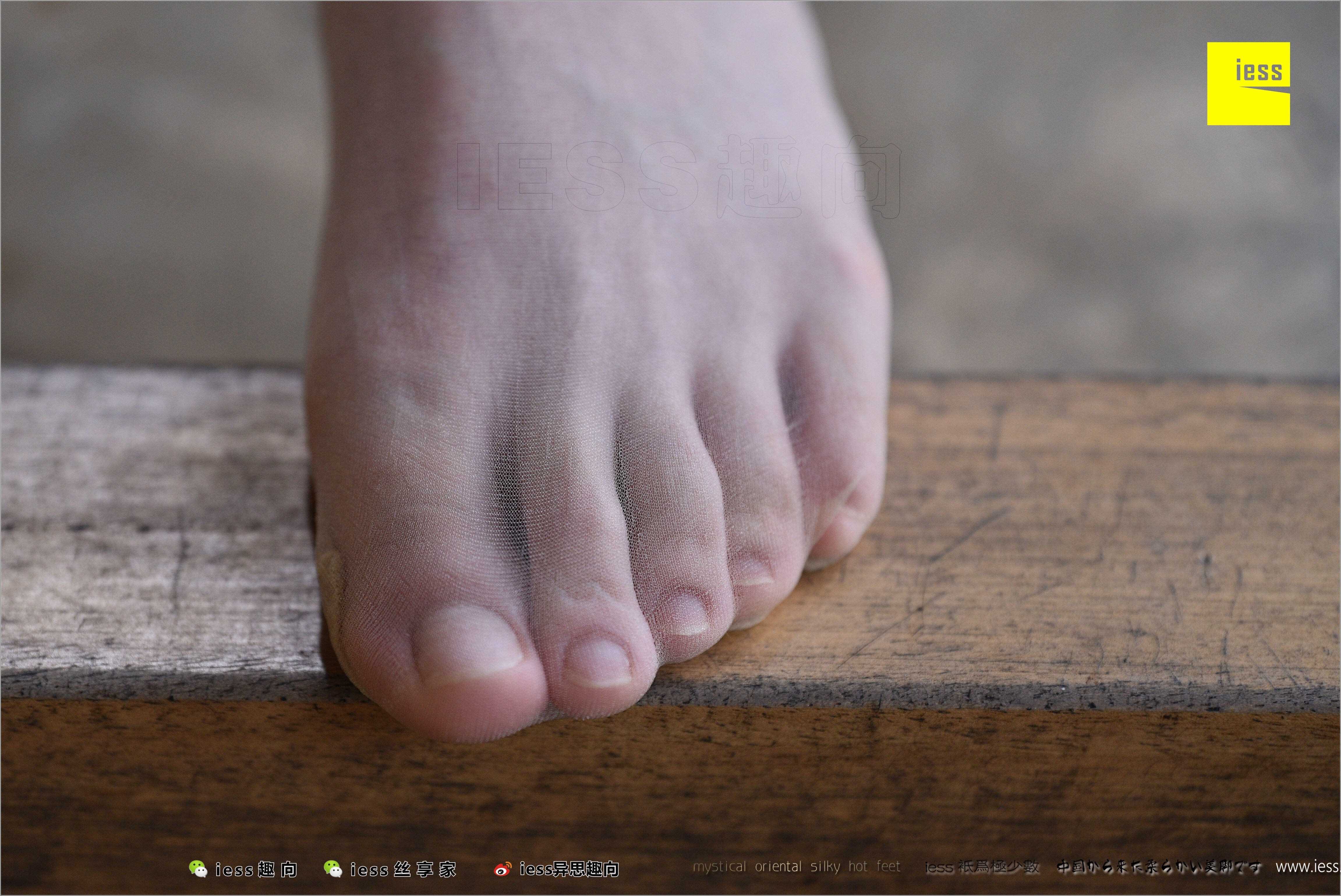 China Beauty Legs and feet 494