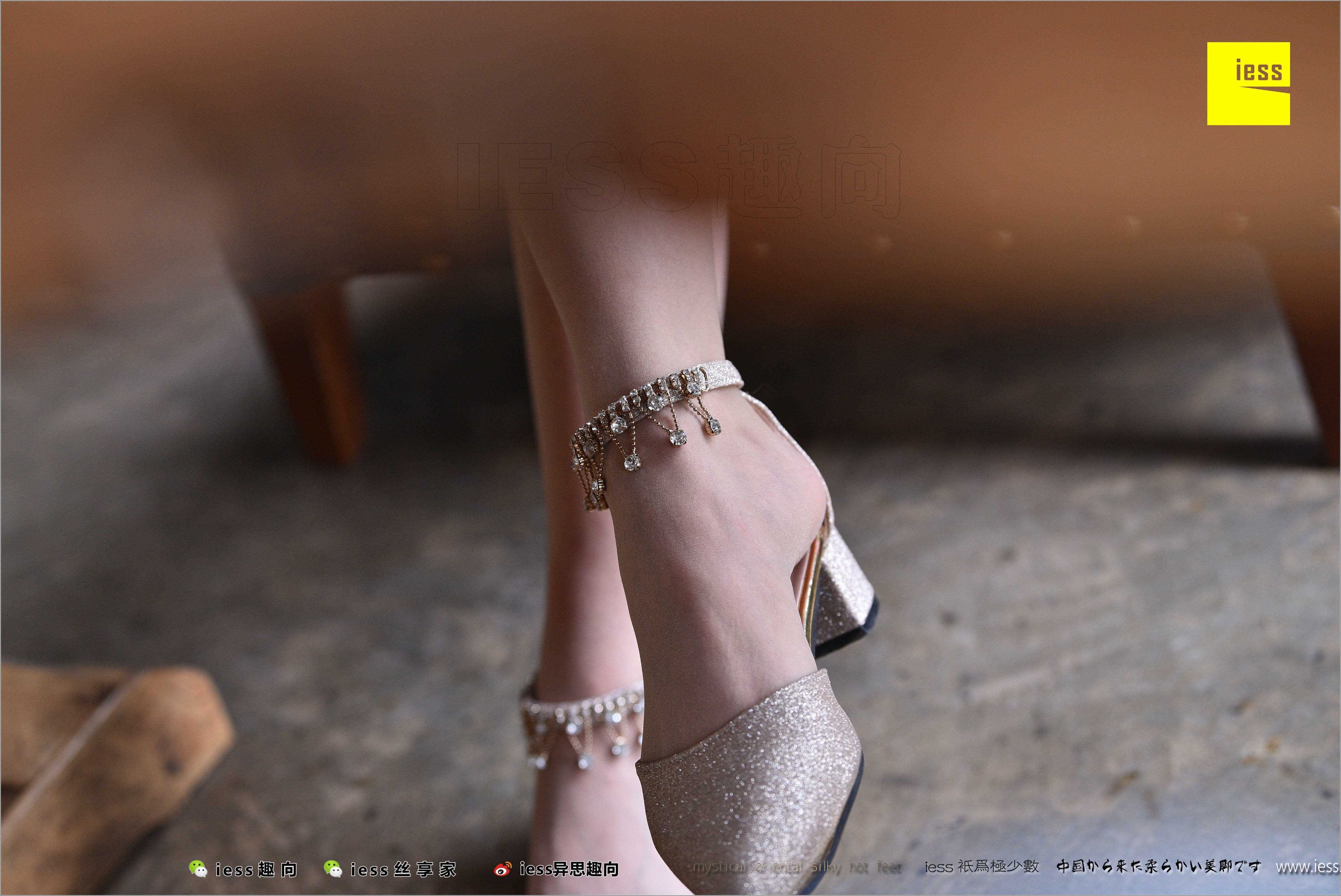 China Beauty Legs and feet 494