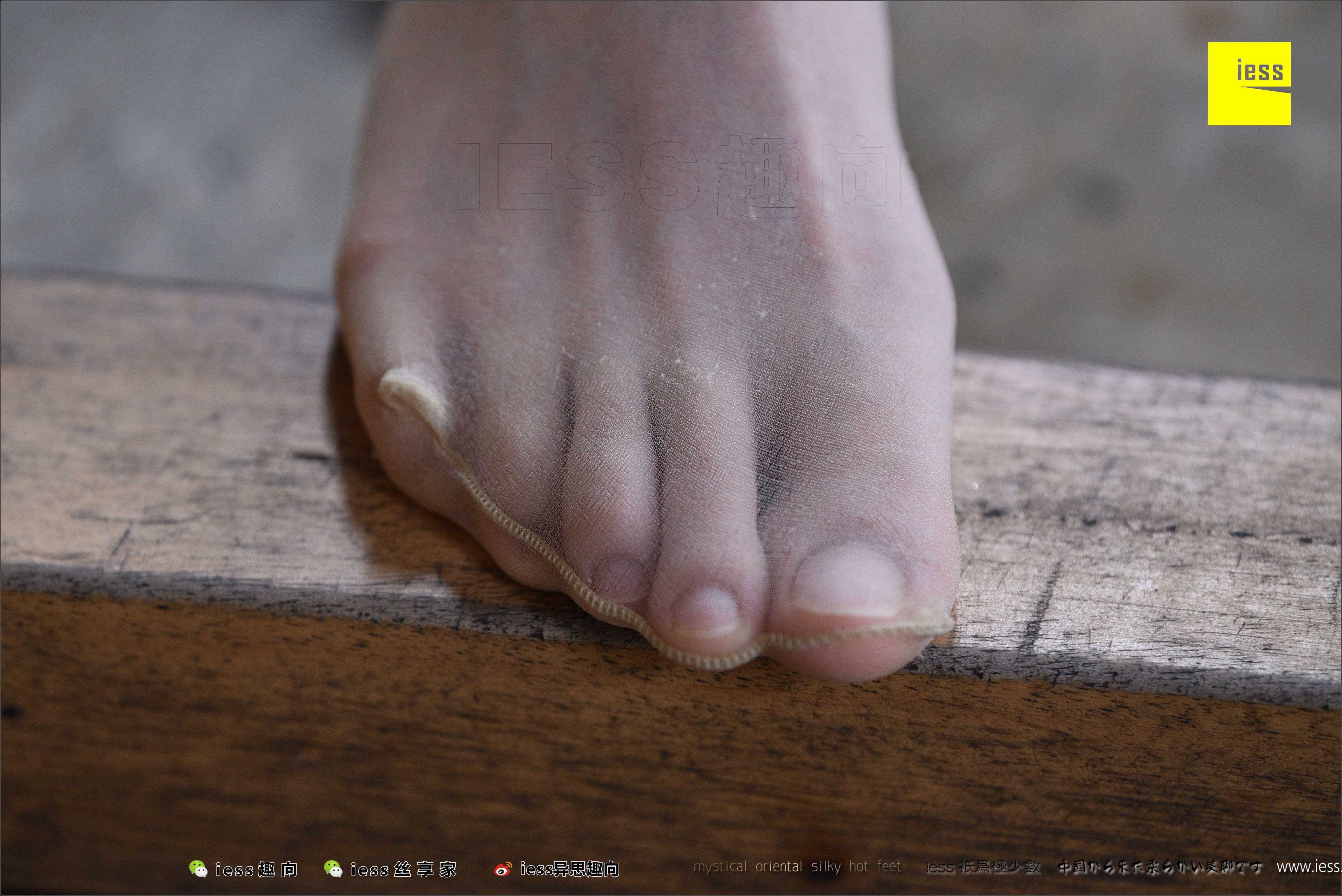 China Beauty Legs and feet 494