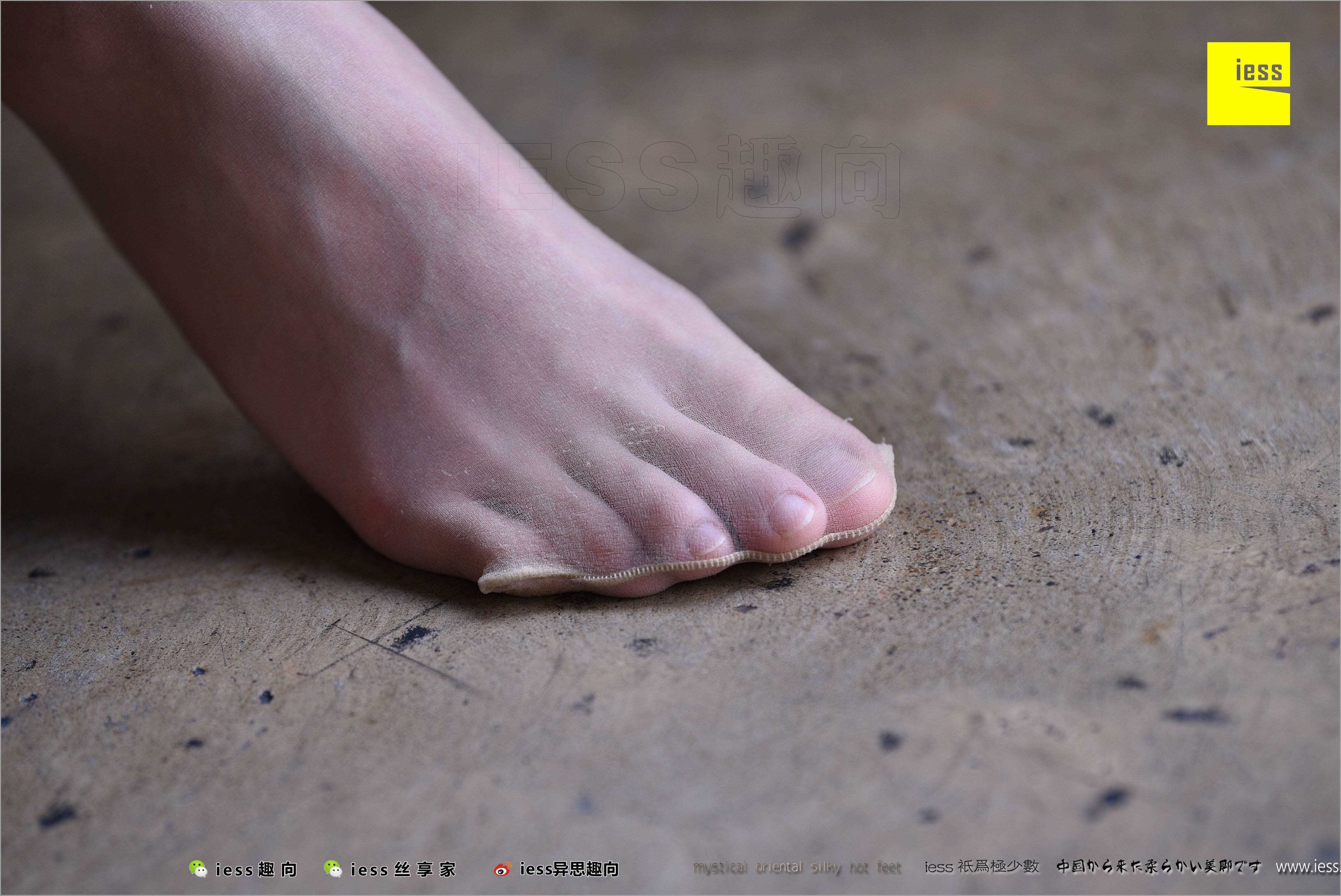 China Beauty Legs and feet 494