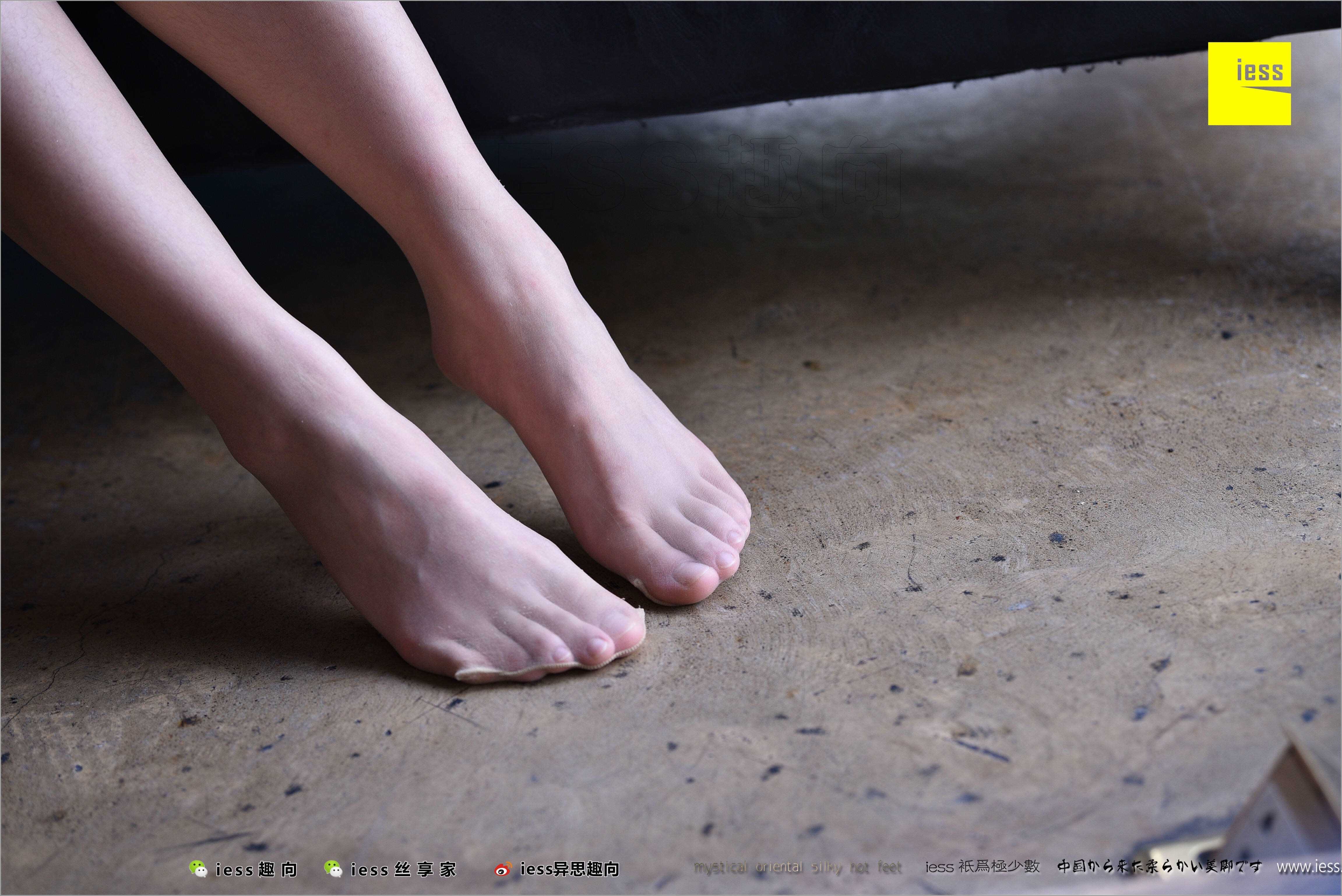 China Beauty Legs and feet 494