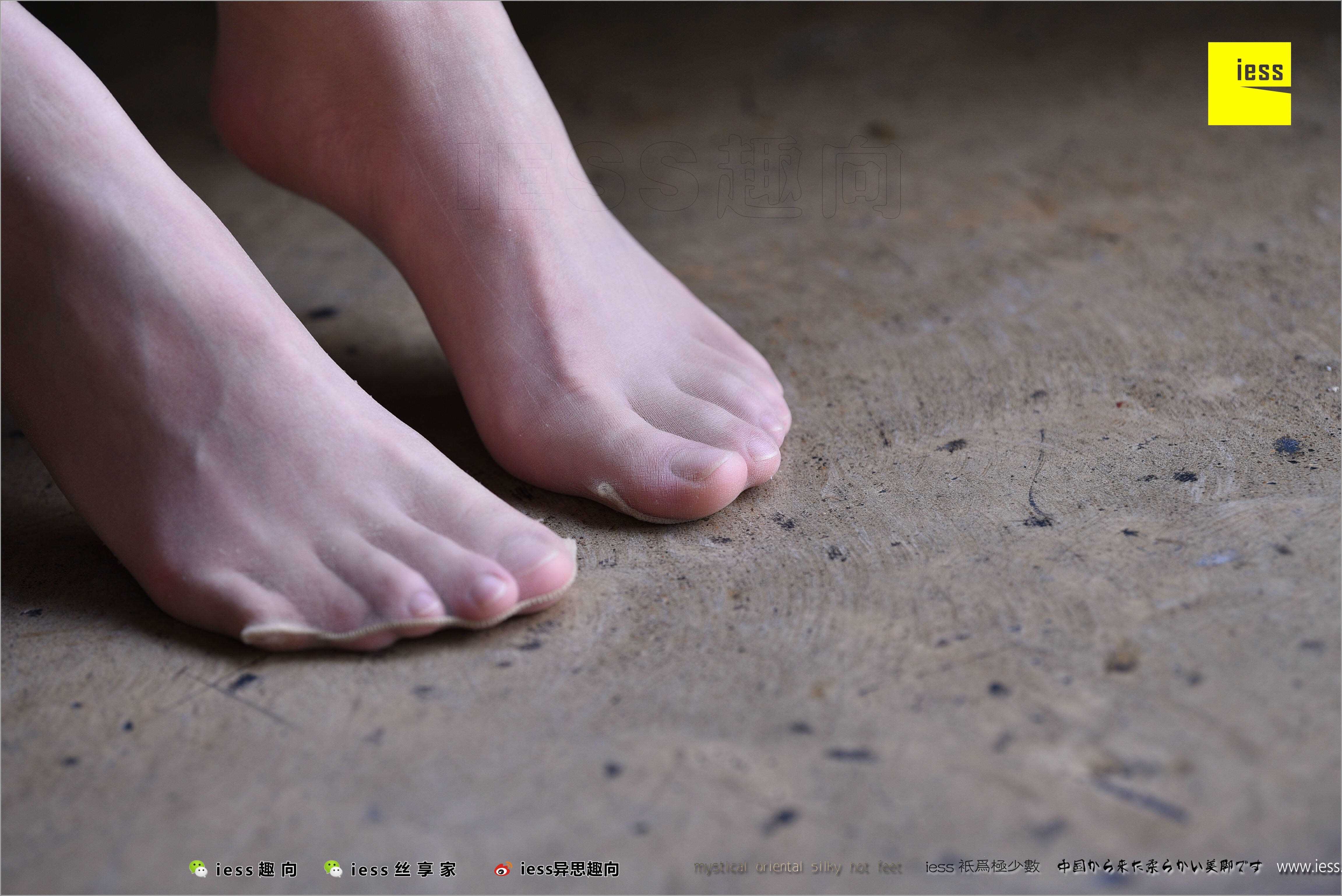 China Beauty Legs and feet 494