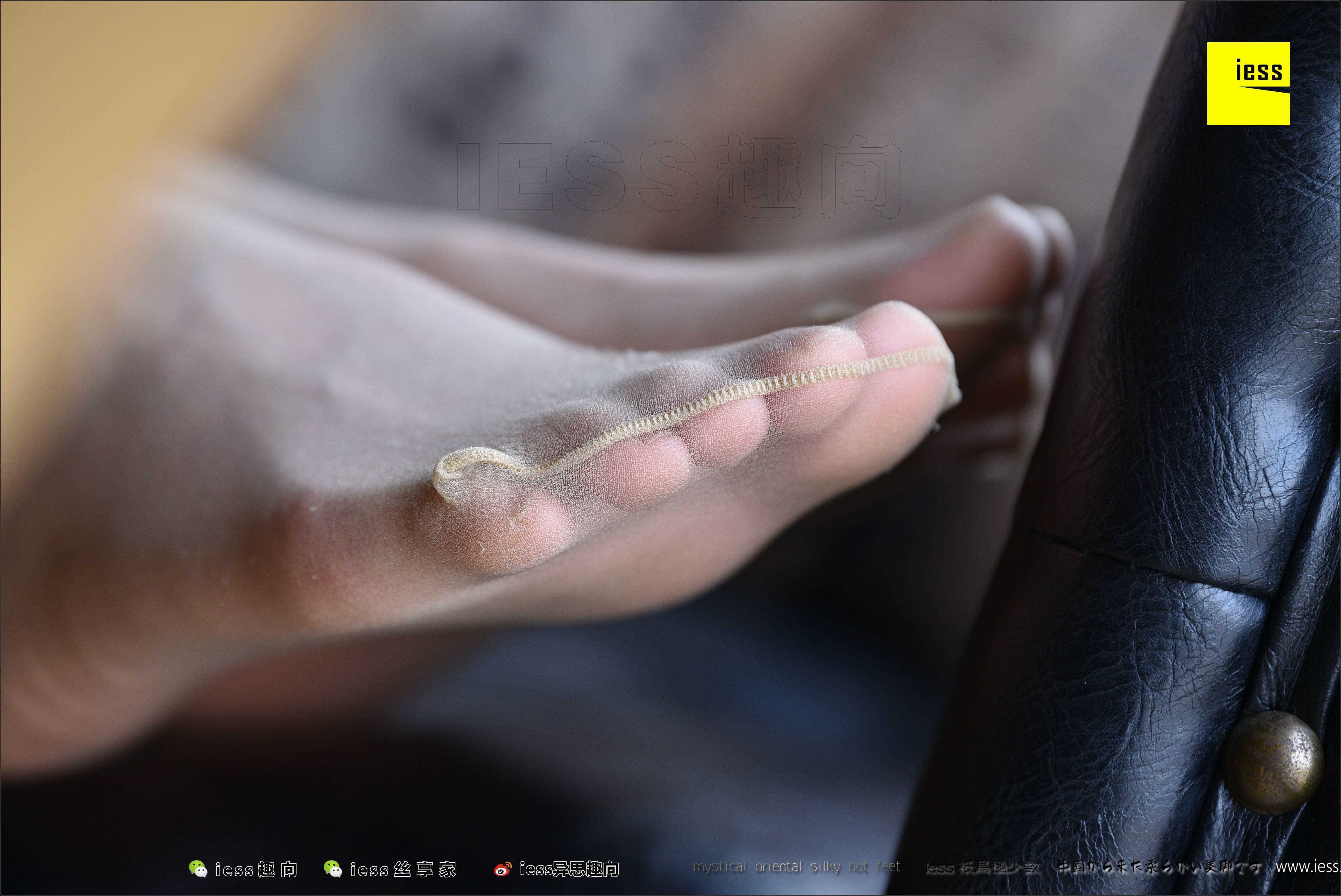 China Beauty Legs and feet 494