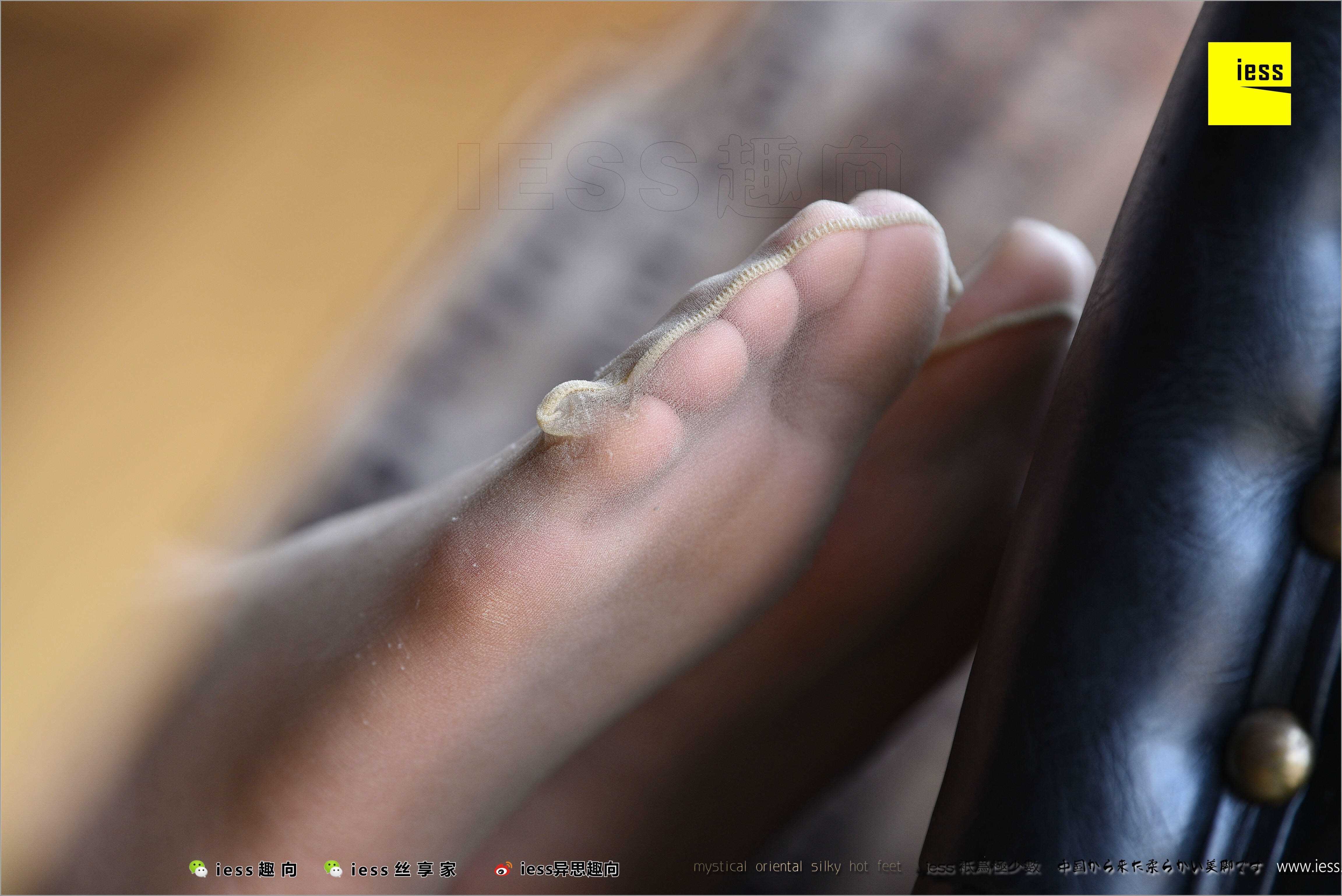 China Beauty Legs and feet 494