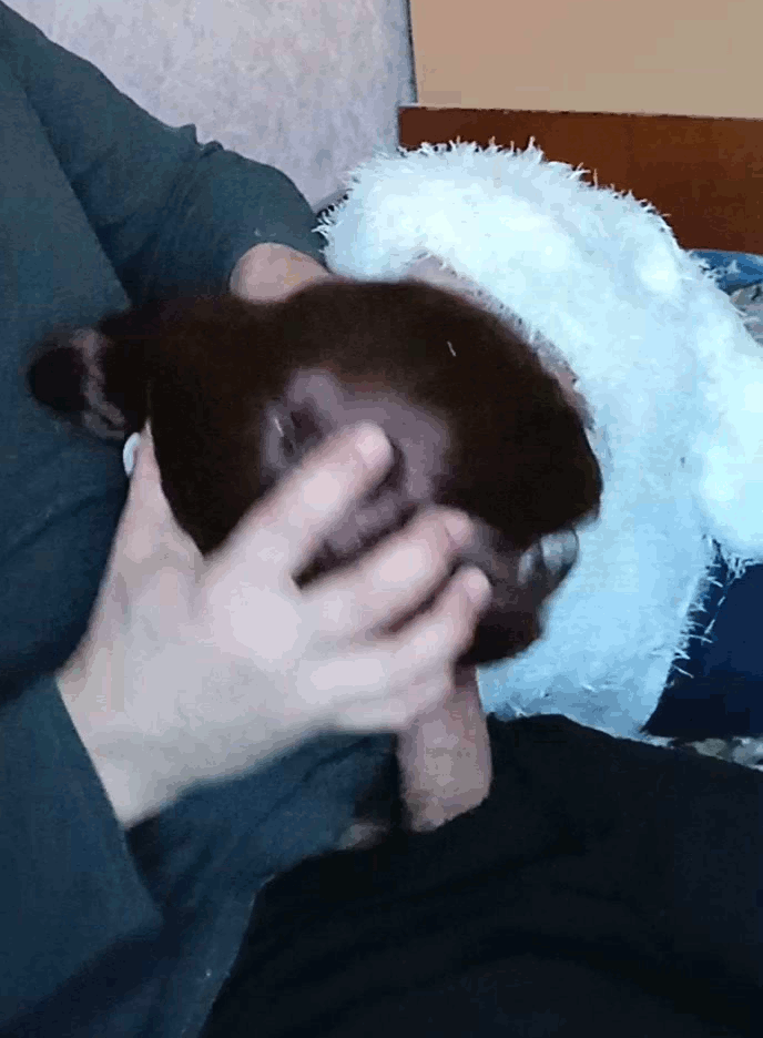 Ninel came to her manager to get promotion.(GIFs)