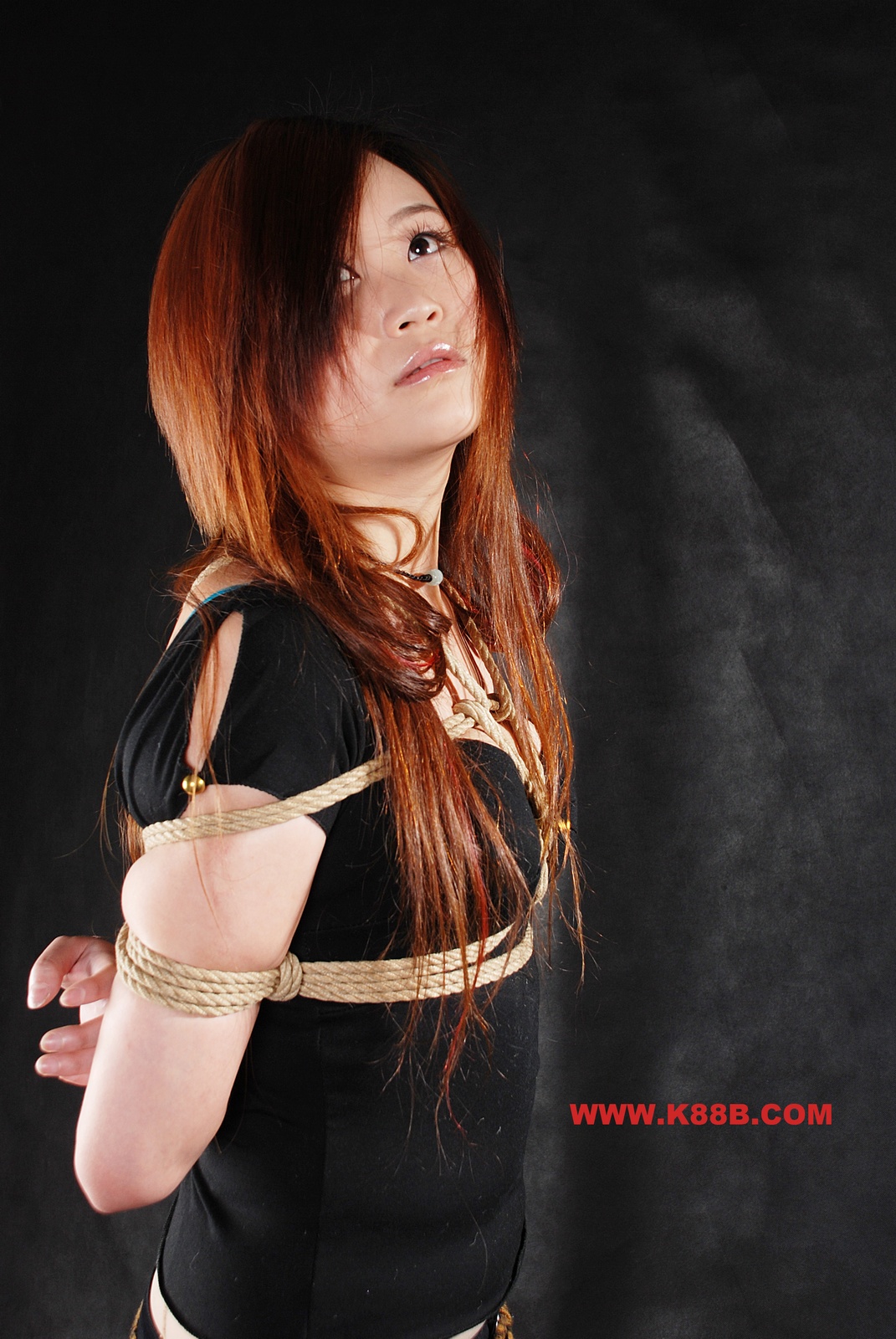 Chinese Rope Model 496