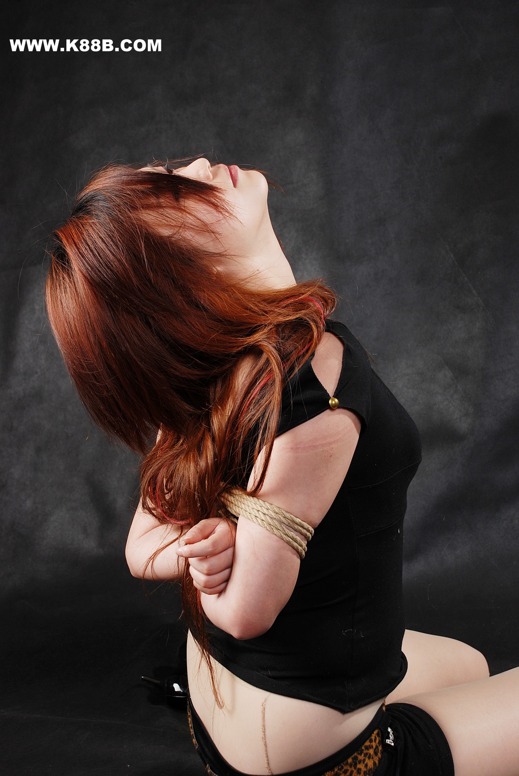 Chinese Rope Model 502