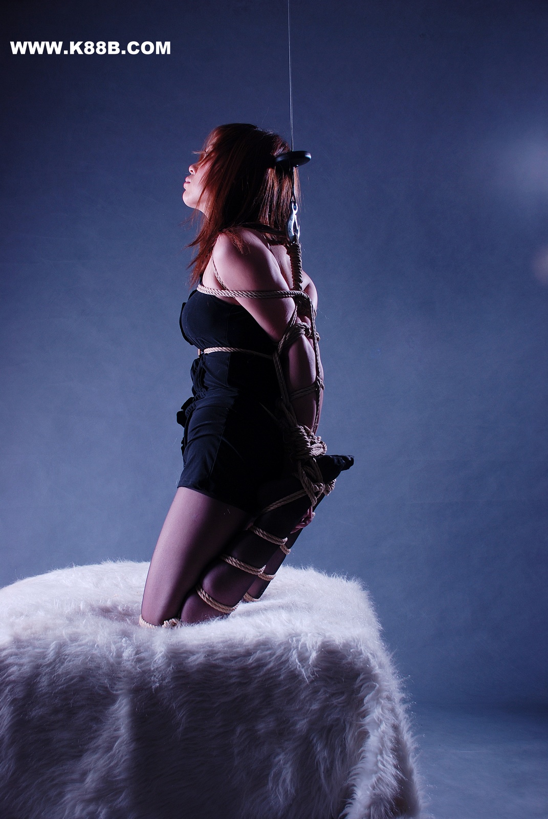 Chinese Rope Model 503