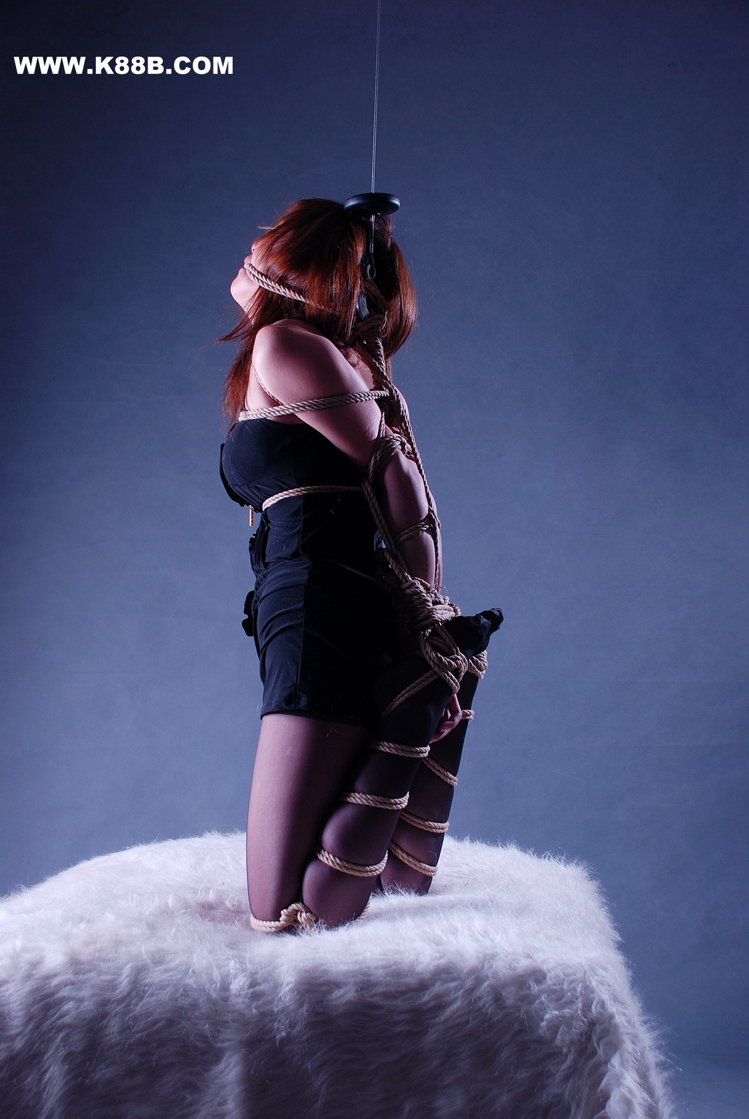 Chinese Rope Model 503