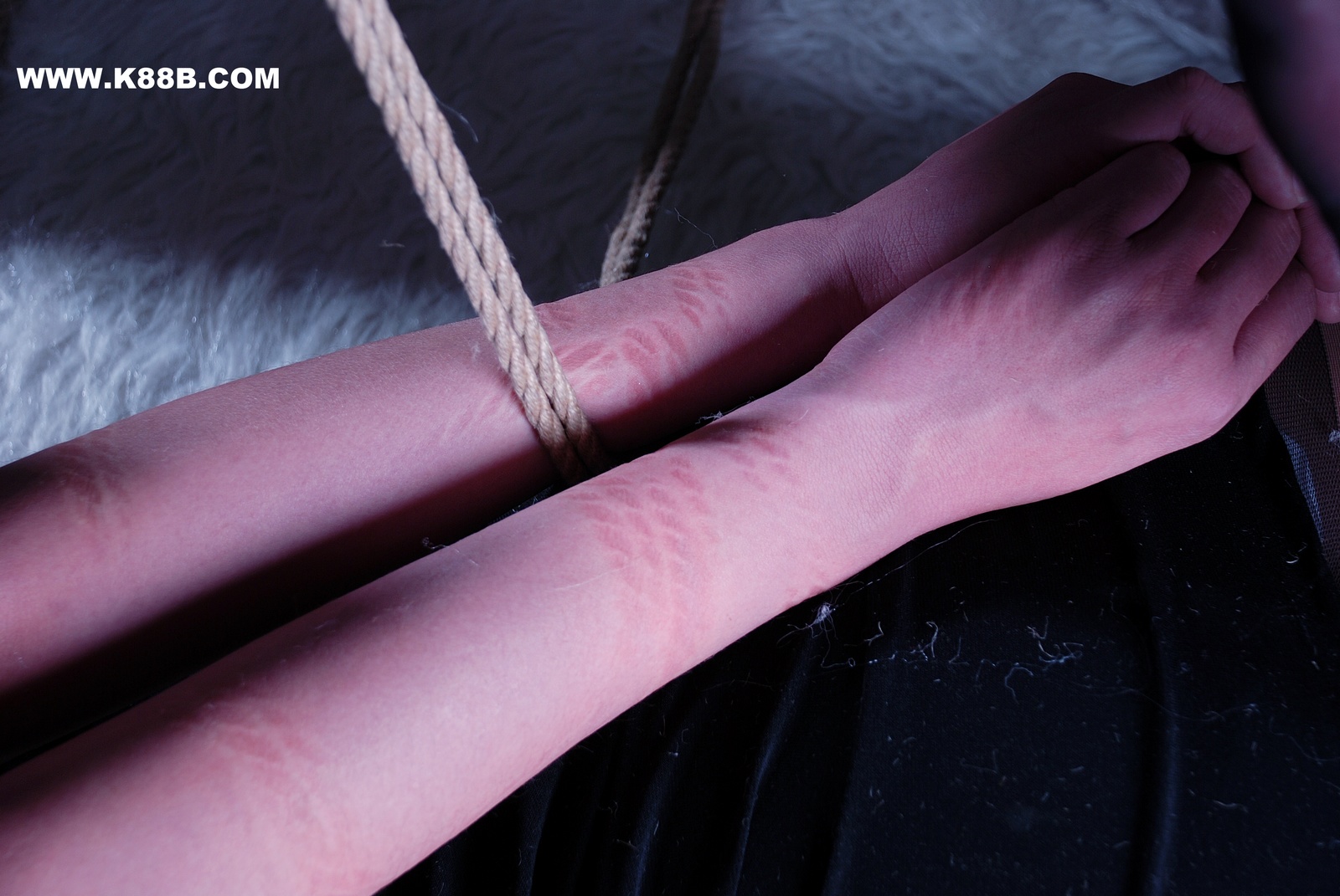 Chinese Rope Model 503