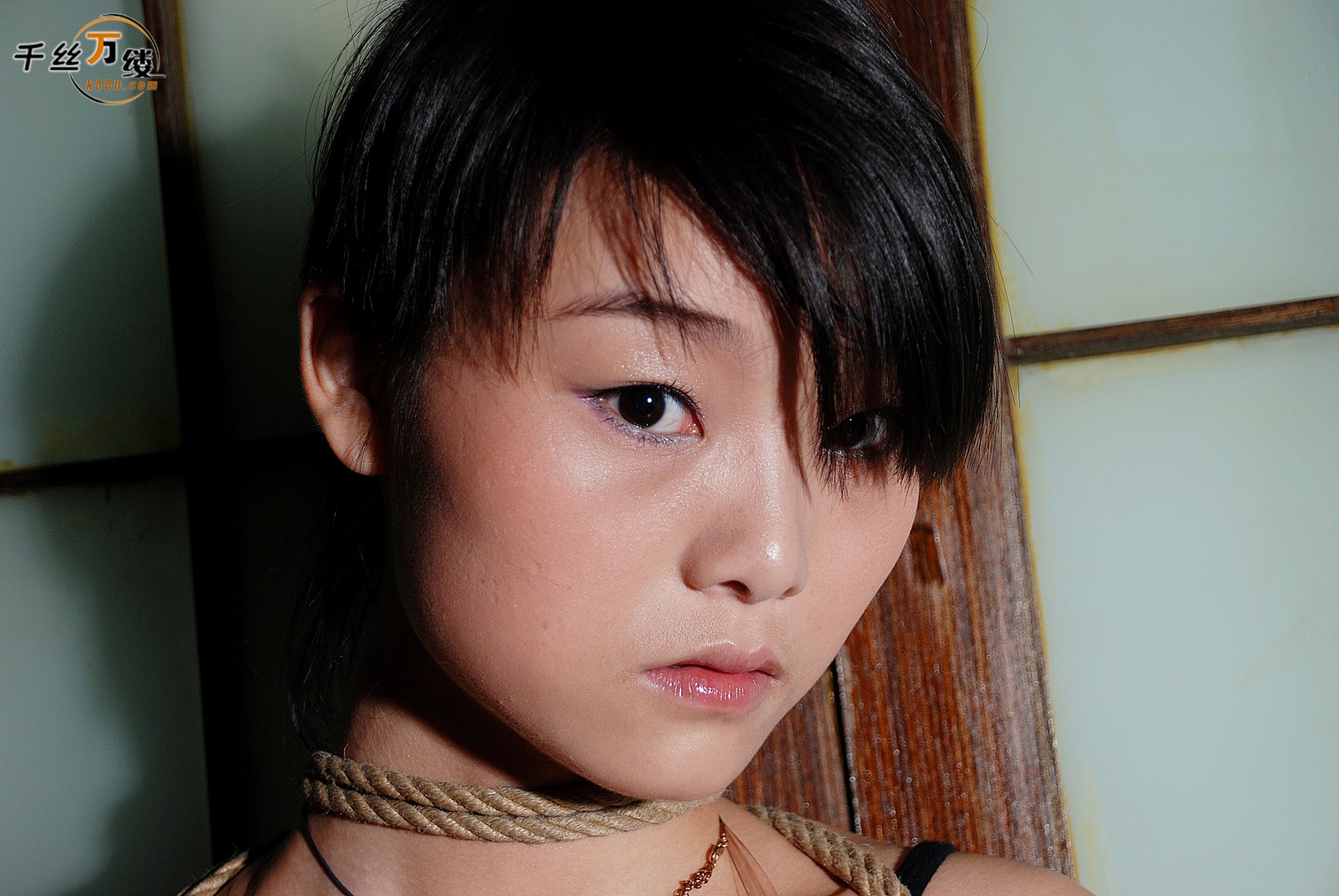 Chinese Rope Model 528