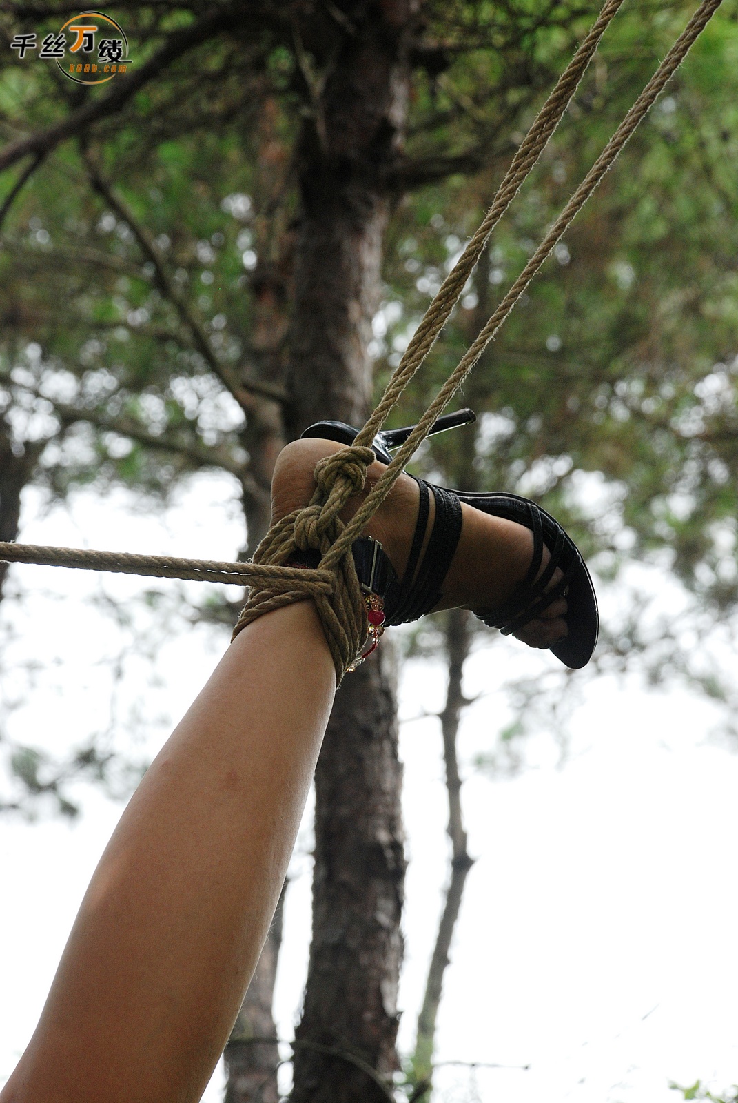 Chinese Rope Model 560