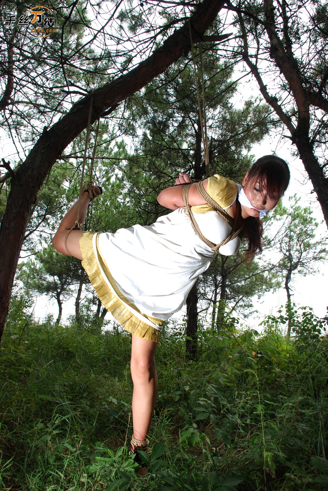 Chinese Rope Model 560