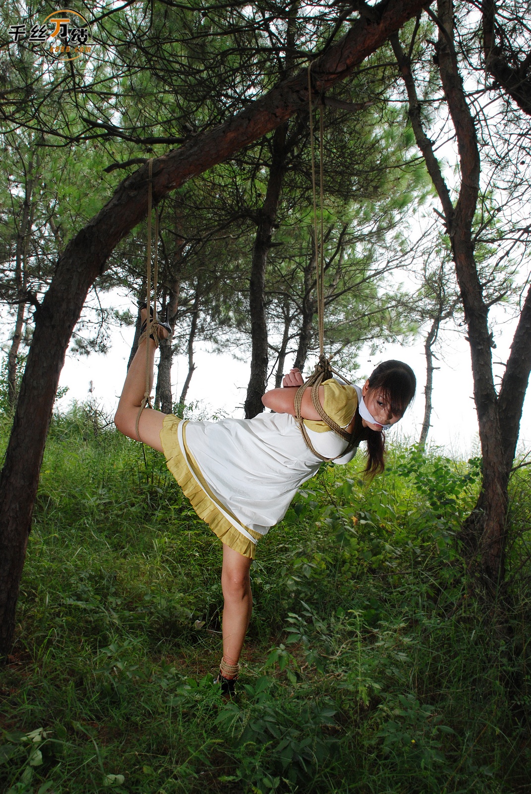 Chinese Rope Model 560