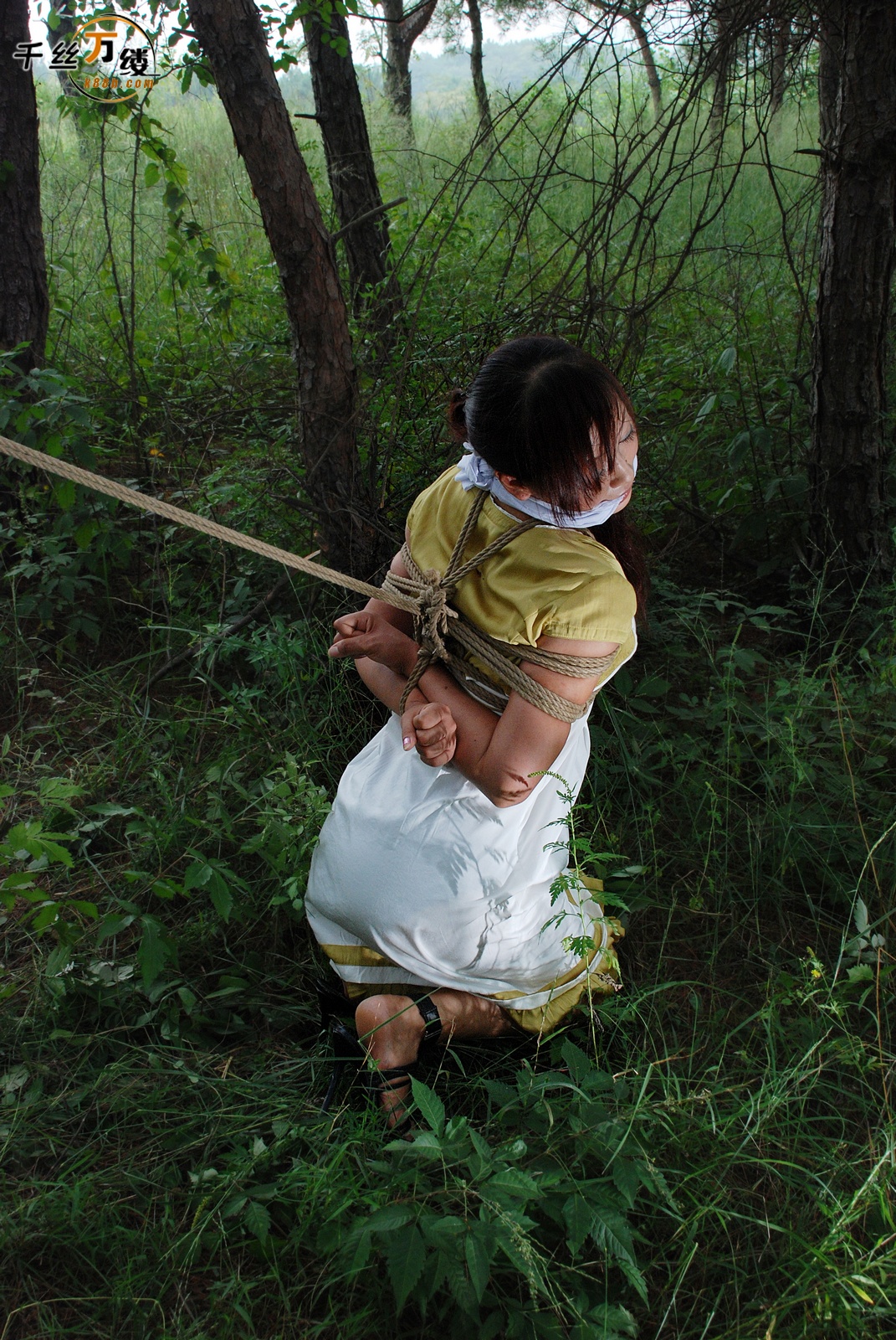 Chinese Rope Model 560