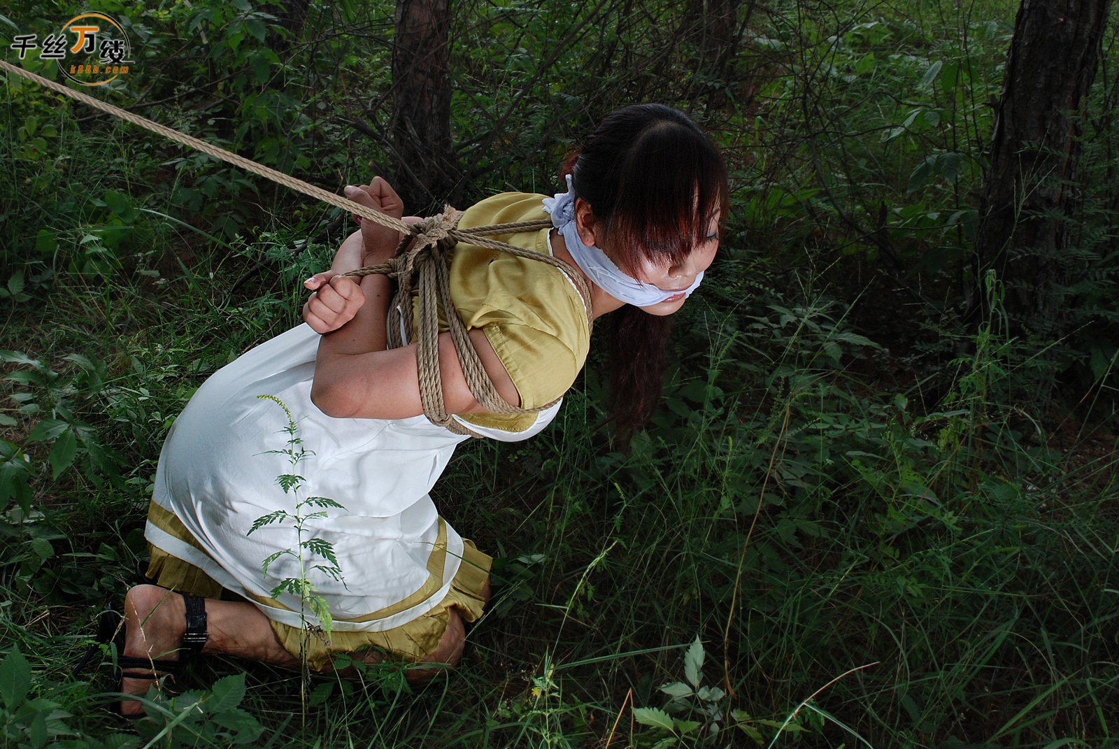 Chinese Rope Model 560