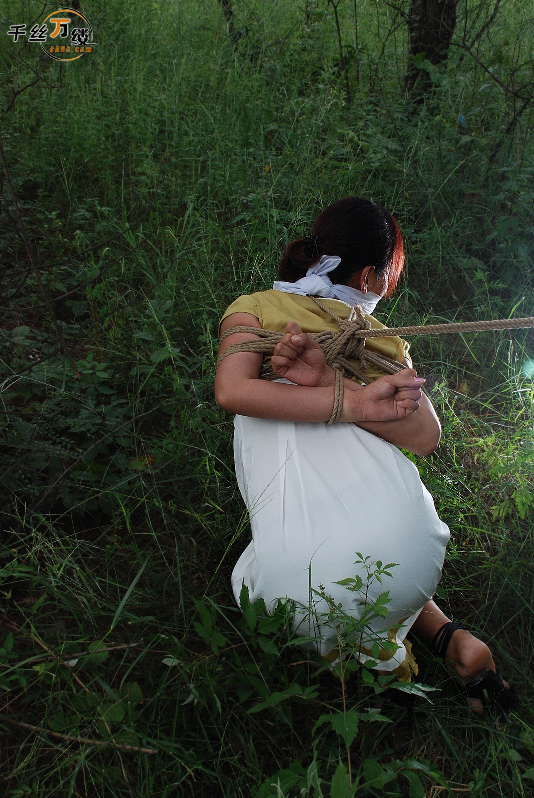 Chinese Rope Model 560