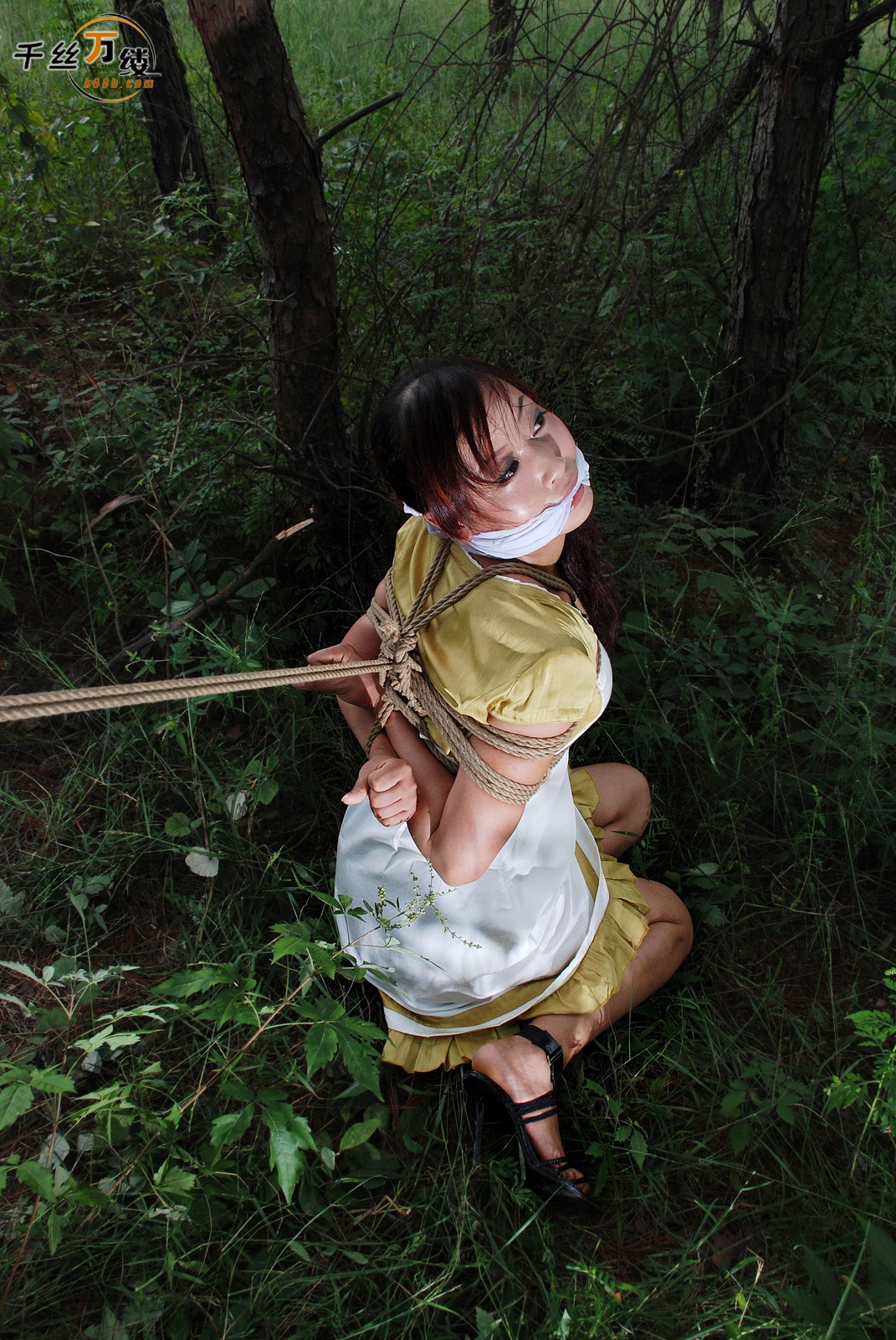 Chinese Rope Model 560