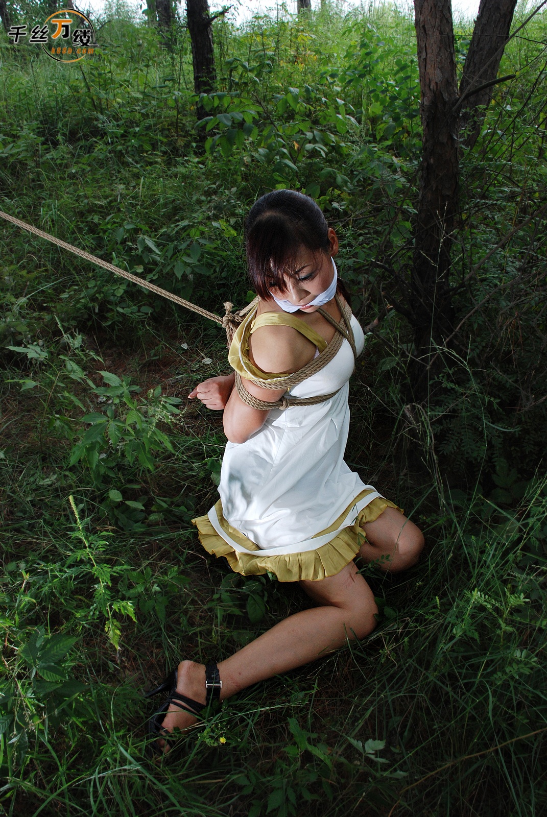 Chinese Rope Model 560