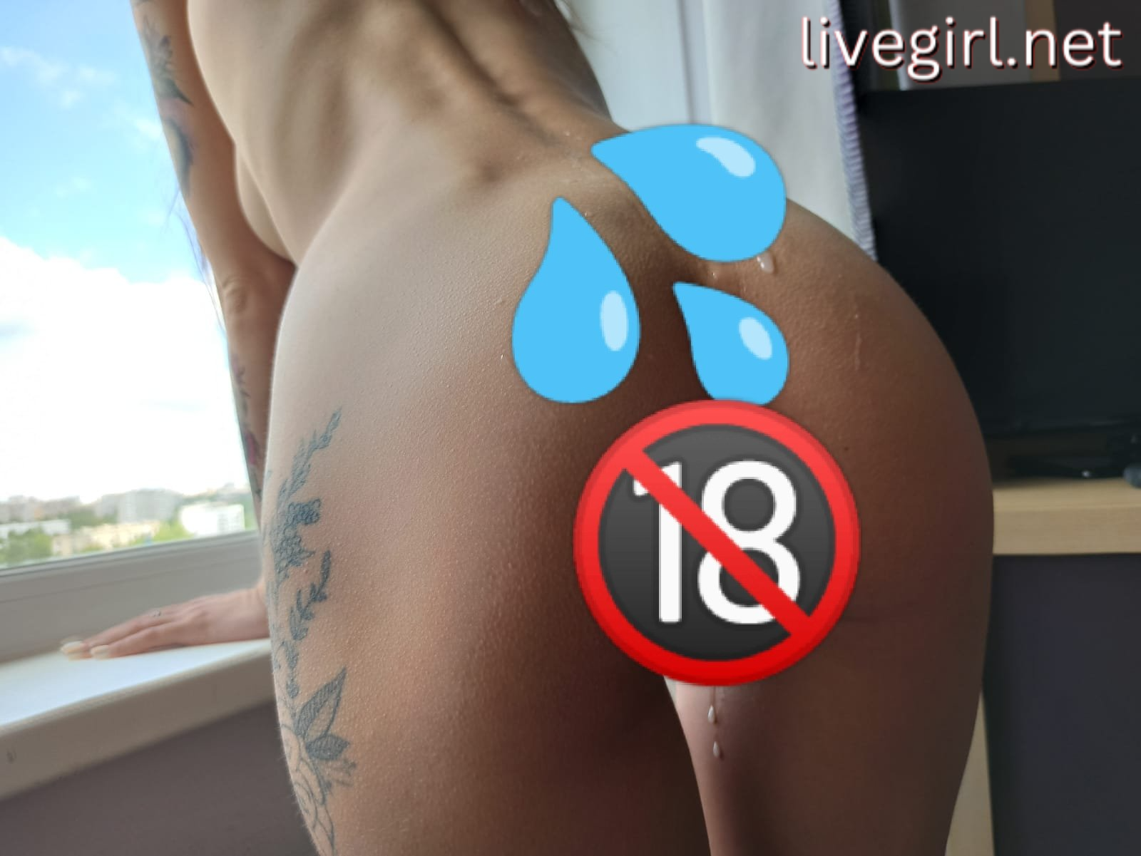 Collection - sandychris