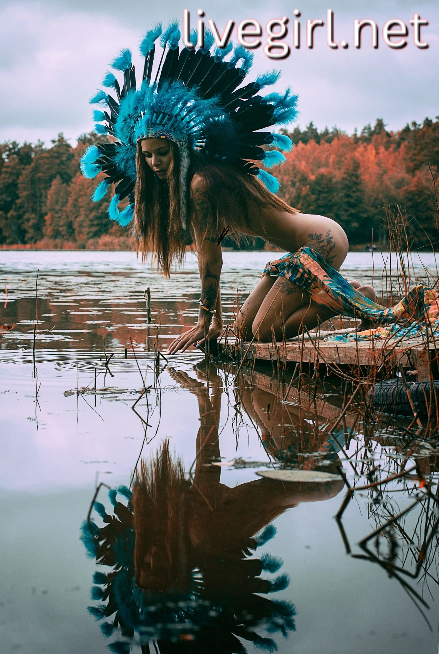 Collection - sandychris