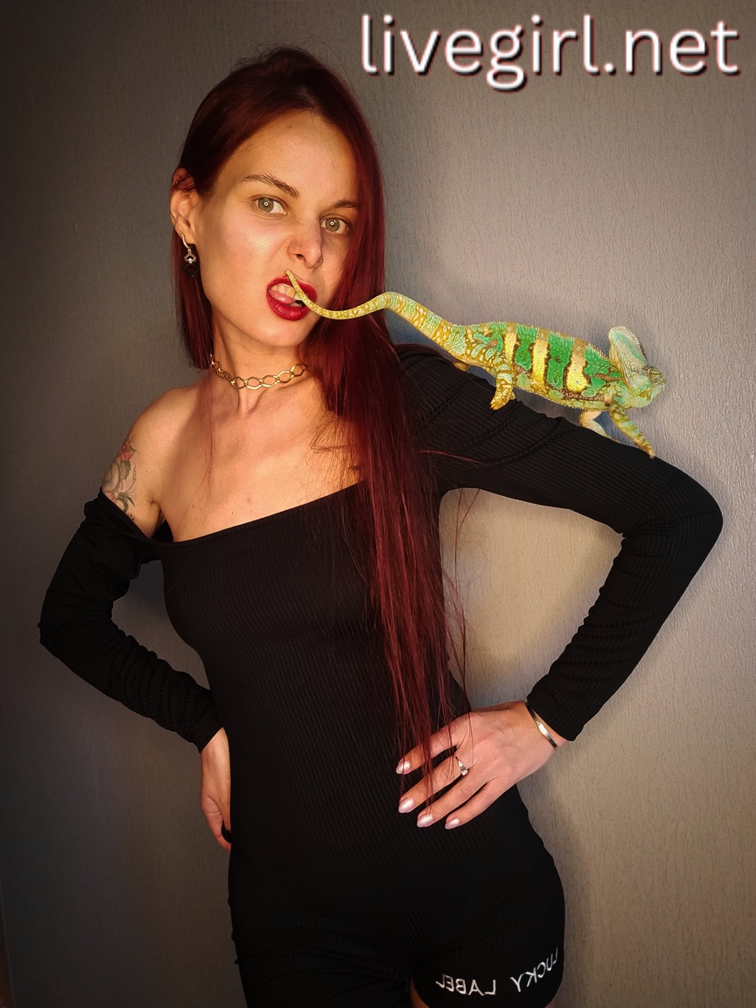 Collection - sandychris