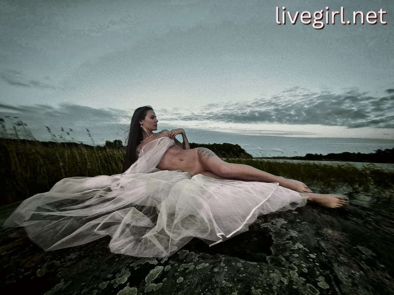 Collection - sandychris