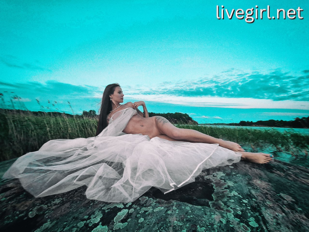 Collection - sandychris