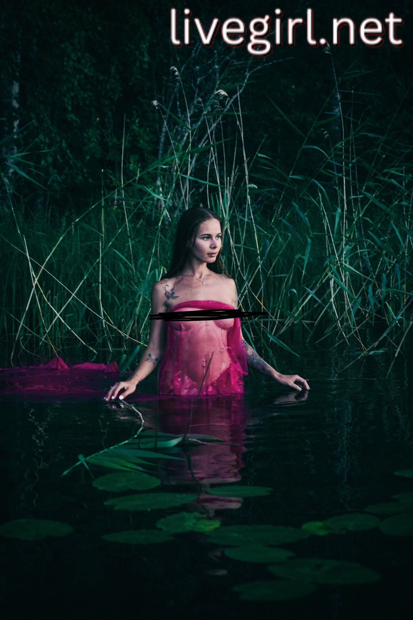 Collection - sandychris