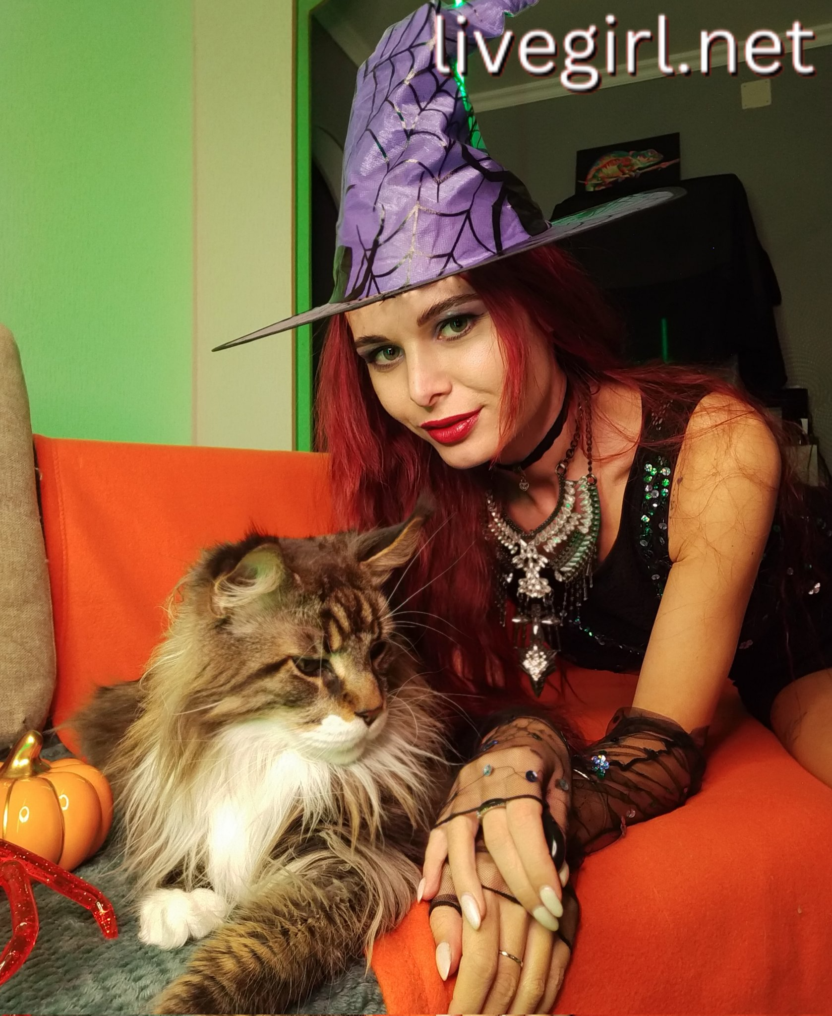 Collection - sandychris